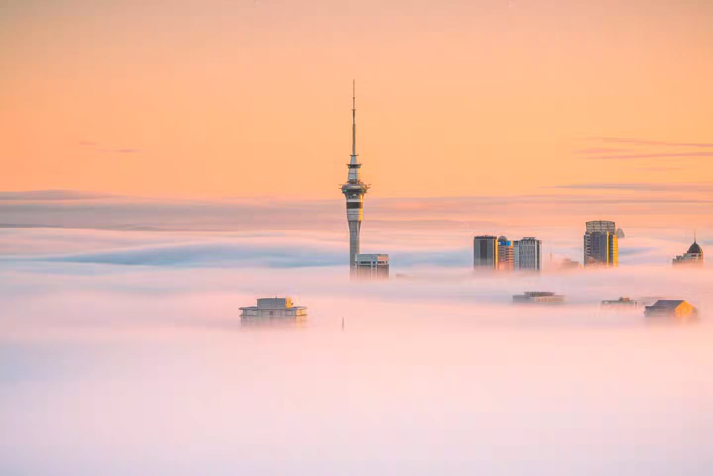 The Auckland @skytower_nz and skyline rise above a blanket of fog during a serene winter sunrise, viewed from the summit of Mt Eden 🌫️.
This is my entry to @sonyalpha.anz's Day 6 of 12 Days of G Master Competition (landscape theme) with @scotthowes.
#Sony12DaysOfGMaster6
📷: @SonyAlpha a7R III + @Sony FE 85mm f/1.8