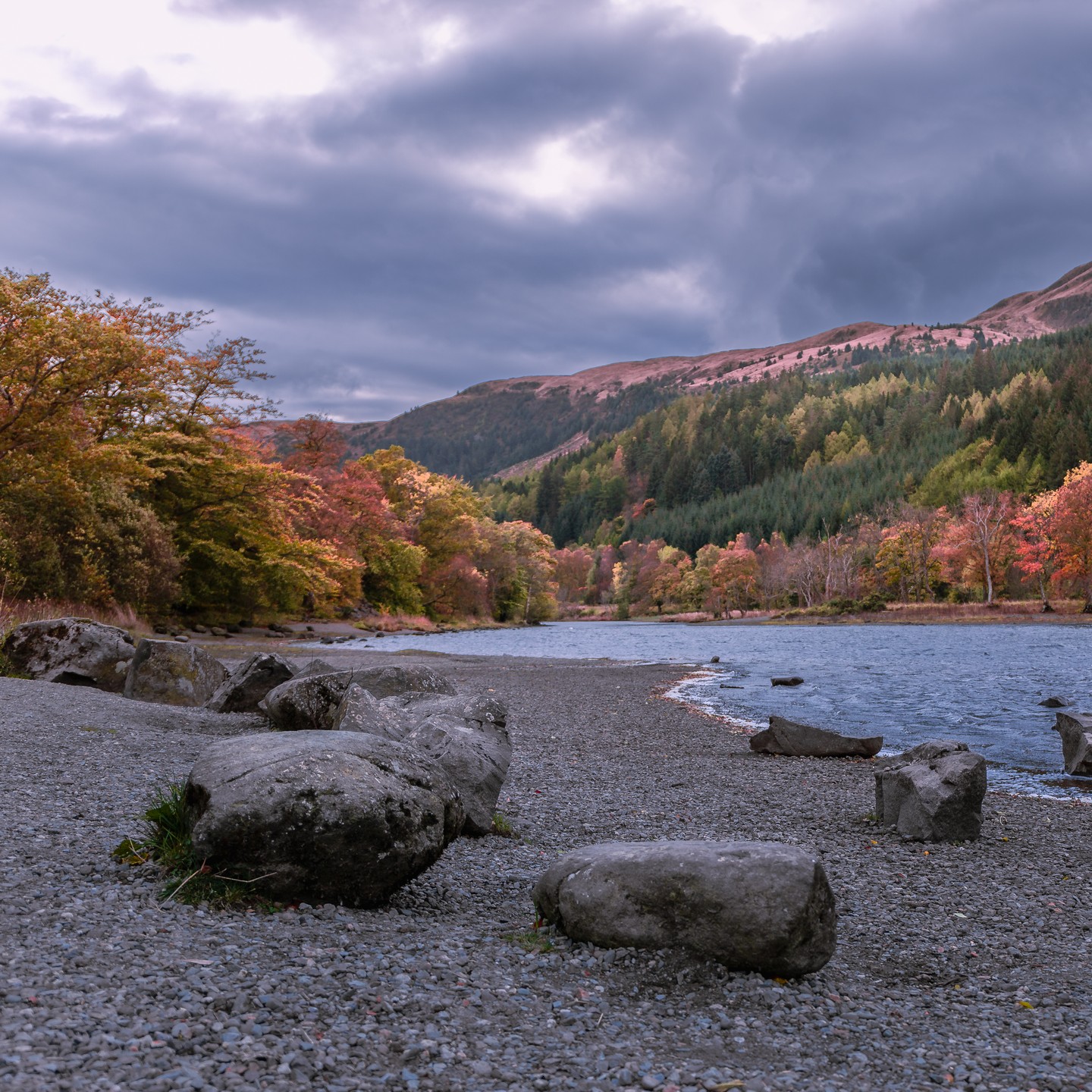 Garbh Uisge in the Trossachs - Scotland’s ‘rough water’ - it may sound intimidating, but standing here, it feels like nature is warmly inviting you in. Proof that even a wild river knows how to put on its best autumn outfit. Honestly, how could you not fall for this place?
#garbhuisge #trossachs #trossachsnationalpark #scottishrivers #autumnlandscape #autumnadventures #visitscotland #scotlandexplored #naturephotography #fallfoliage #landscapelovers #goldenhourvibes #wildscotland #autumnmagic #explorescotland #hiddenscotland #wanderlustscotland #peacefulviews #naturelover #riverwalks #sceniclandscape #travelscotland #outdoorphotography #autumnvibes #scotlandshots #seasonalbeauty #discovernature #timelessscotland #autumninspo #lovewildscotland