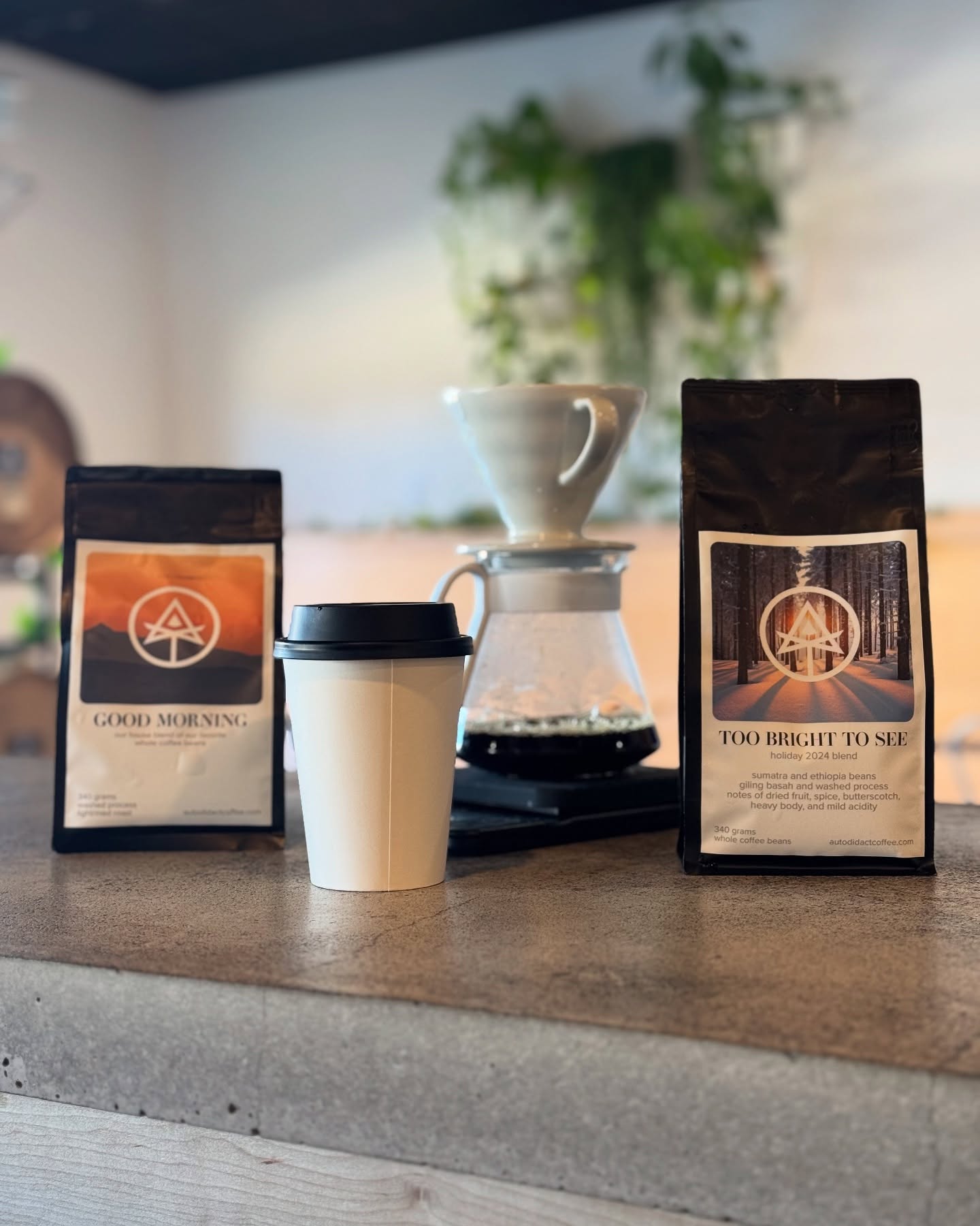 Coffee fans rejoice! Fresh roasted Good Morning is back in stock and our 2024 Holiday Blend is joining it…
Too Bright To See is a blend of single origin Sumatra and Ethiopian beans presenting wonderful notes of dried fruit, spice, and butterscotch. Mildly acidic and medium bodied, it’s a perfect blend for the holidays!
And OH YEAH, we’re pouring coffee in the taproom now! Drop by today to grab a cup of any of our coffees brewed with either an AeroPress or Pour Over. All coffee is served in to-go cups so feel free to grab ‘em and go!
.
.
#hellowanderer #craftbeer #autodidactbeer #drinklocalbeer #drinklocalnj #drinkgoodbeer #coffee #craftcoffee #localcoffee #coffeeshop