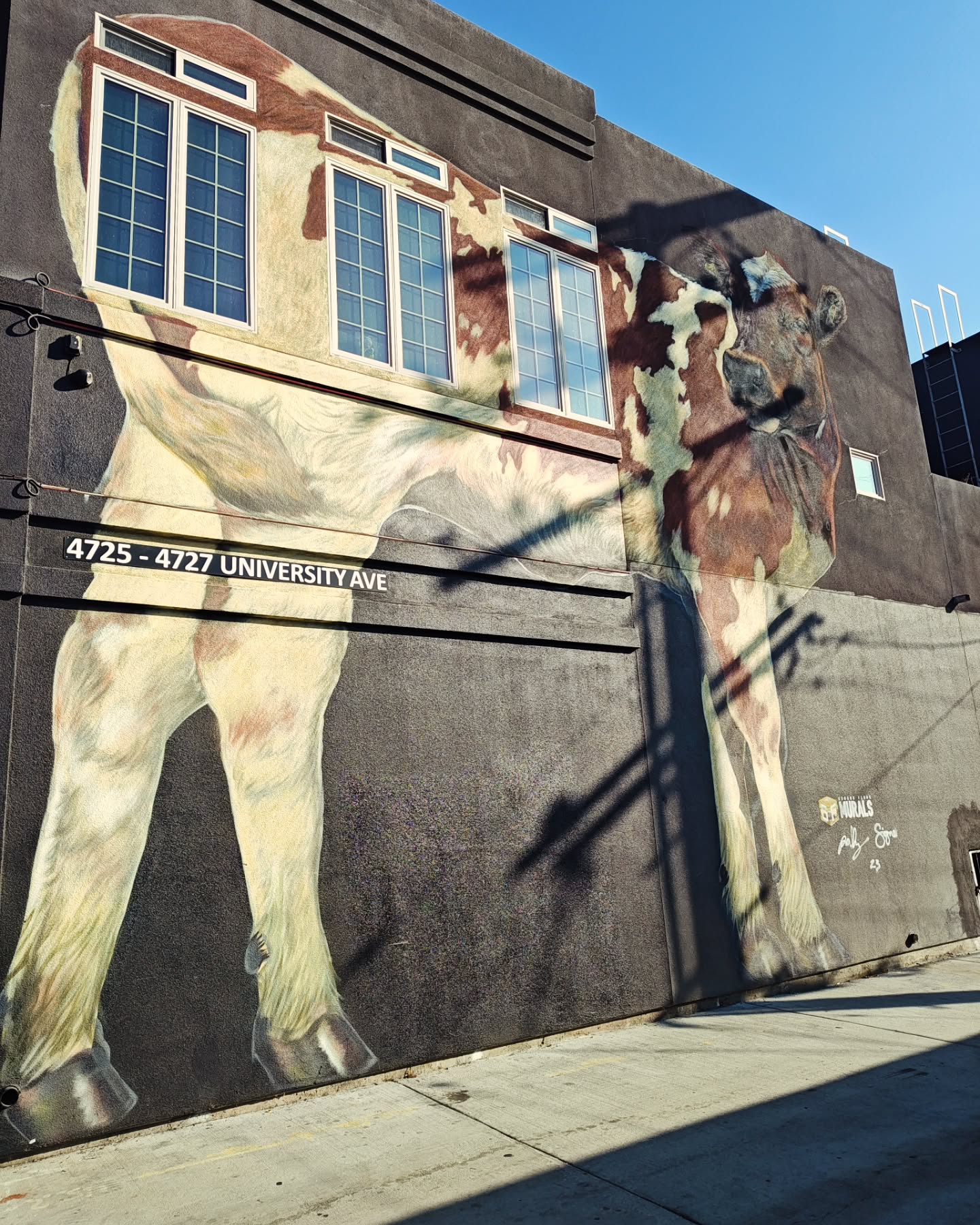 I wonder if @brandt_beef would sponsor a mural like this in Brawley???
Please get in touch!
#beautifyyourworld
#brawleybeef
#loveyourcommunity
#muralart
#imperialvalley
#imperialvalleylove
#brawley