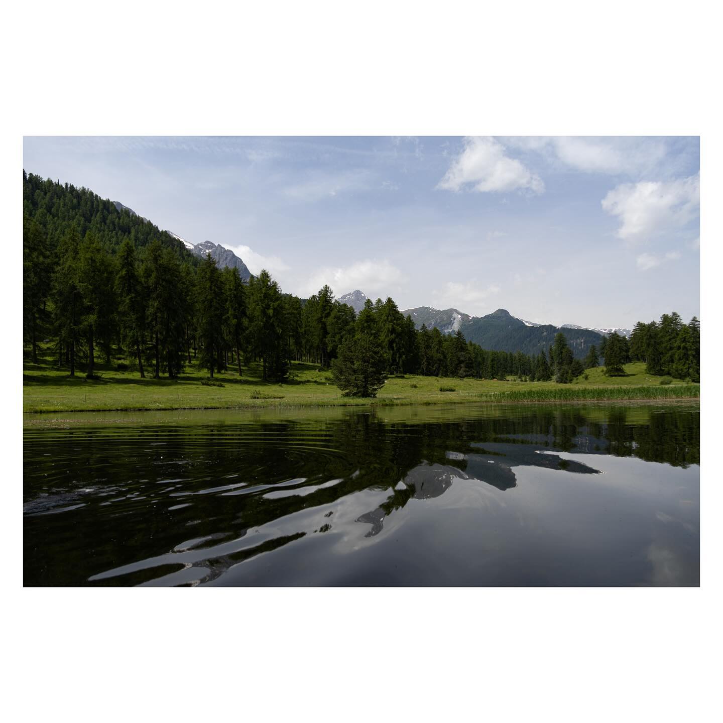 Mountain mirror 🪞
Welches Bild gefällt dir besser?
⬇️
#nature #naturephotography #naturelover #mountains #mountainscape #lake #engadin