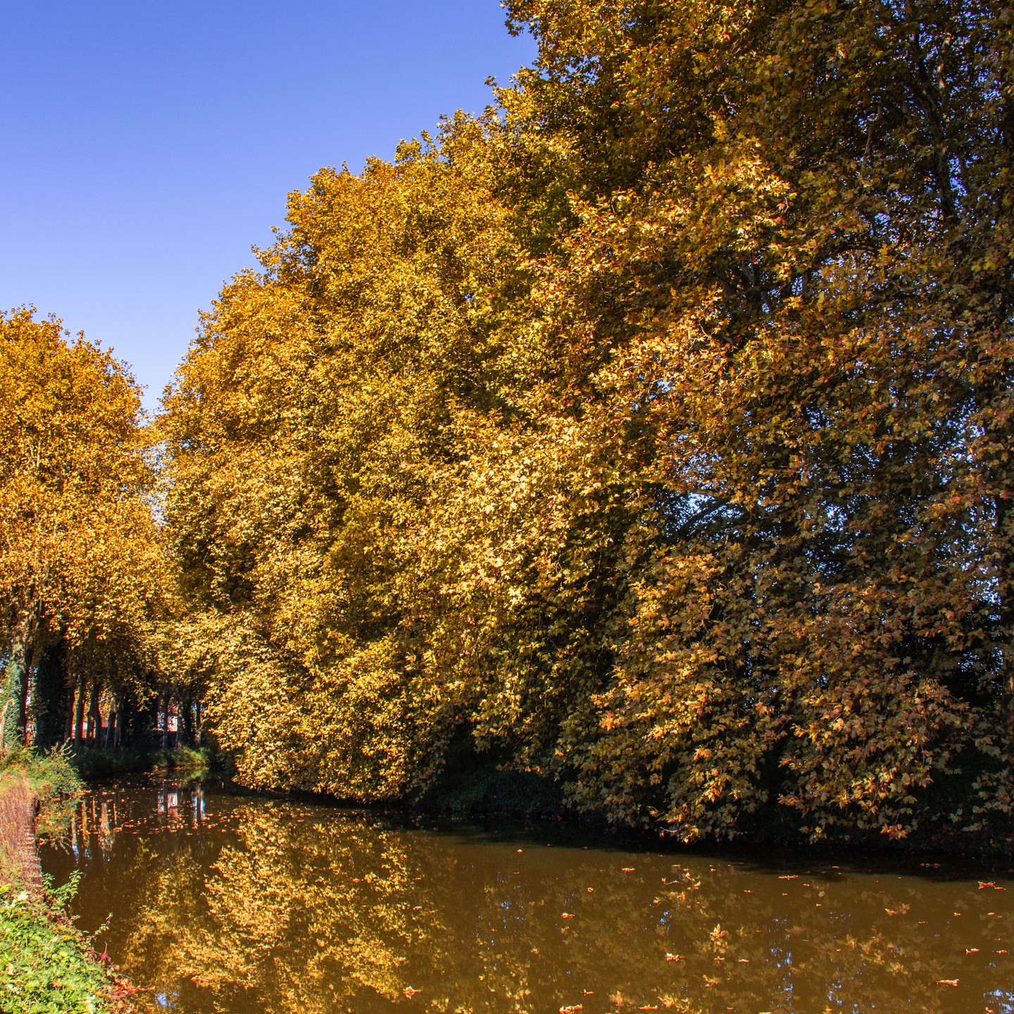 L'automne touche à sa fin mais avec encore de très belles couleurs le long du Canal du Nivernais !
#nievre #nievretourisme #lautomnecestenbourgogne #paysagemagnifique #canaldunivernais #bourgogne #bourgognetourisme #vélo