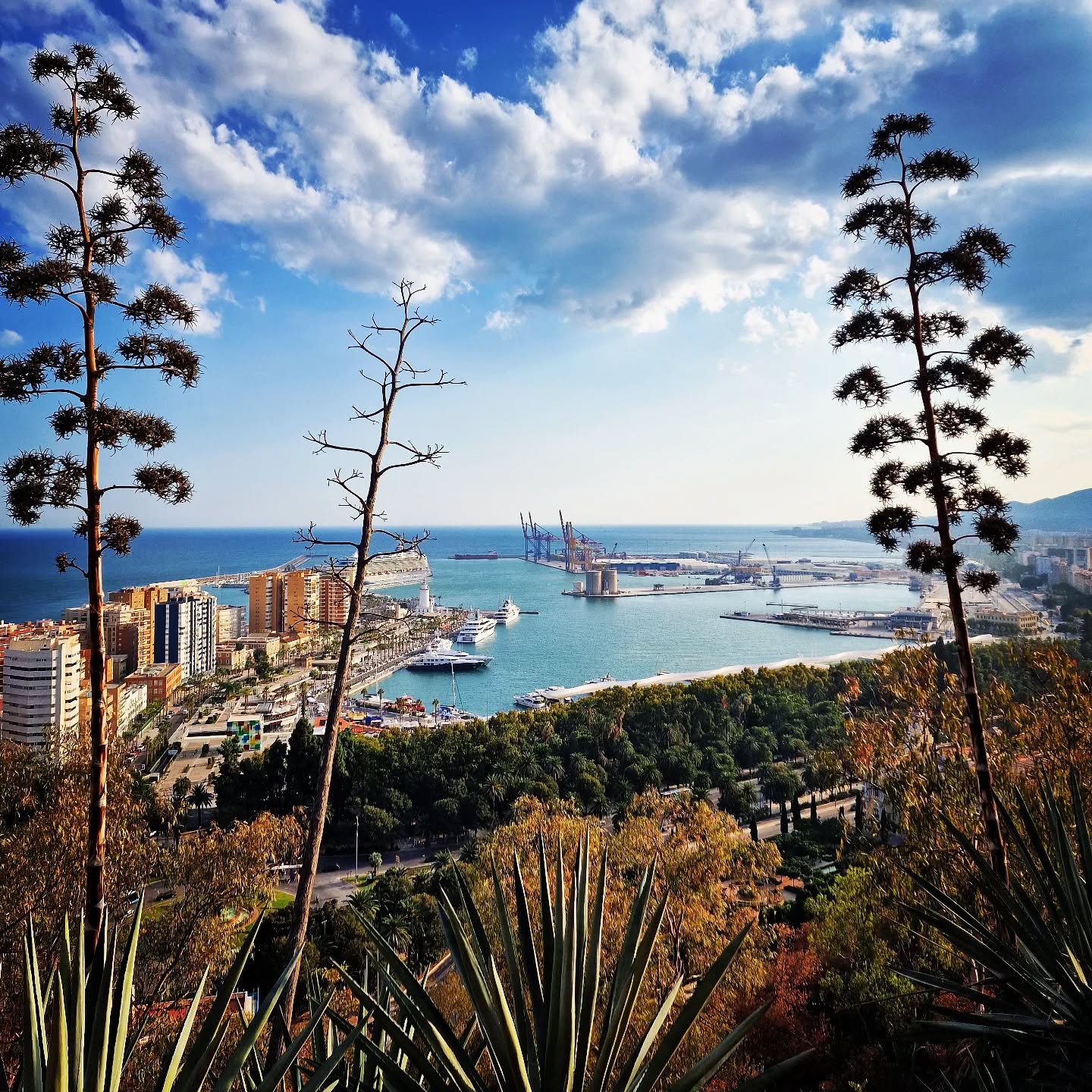 Buen fin de semana 🌞
.
.
.
.
.
#lovingmalaga #malaga #malagalife #malagaturismo #málaga #andalucia #ckmalagalife #ok_malaga #ok_andalucia #españa #spain #estaes_malaga #visitspain #visitmalaga #costadelsol #ok_spain #photosofmalaga #malagaconacento #spain_all_pics #lateandalucia #travel #travelphotography #latemalaga #objetivoandalucia #latildedemalaga