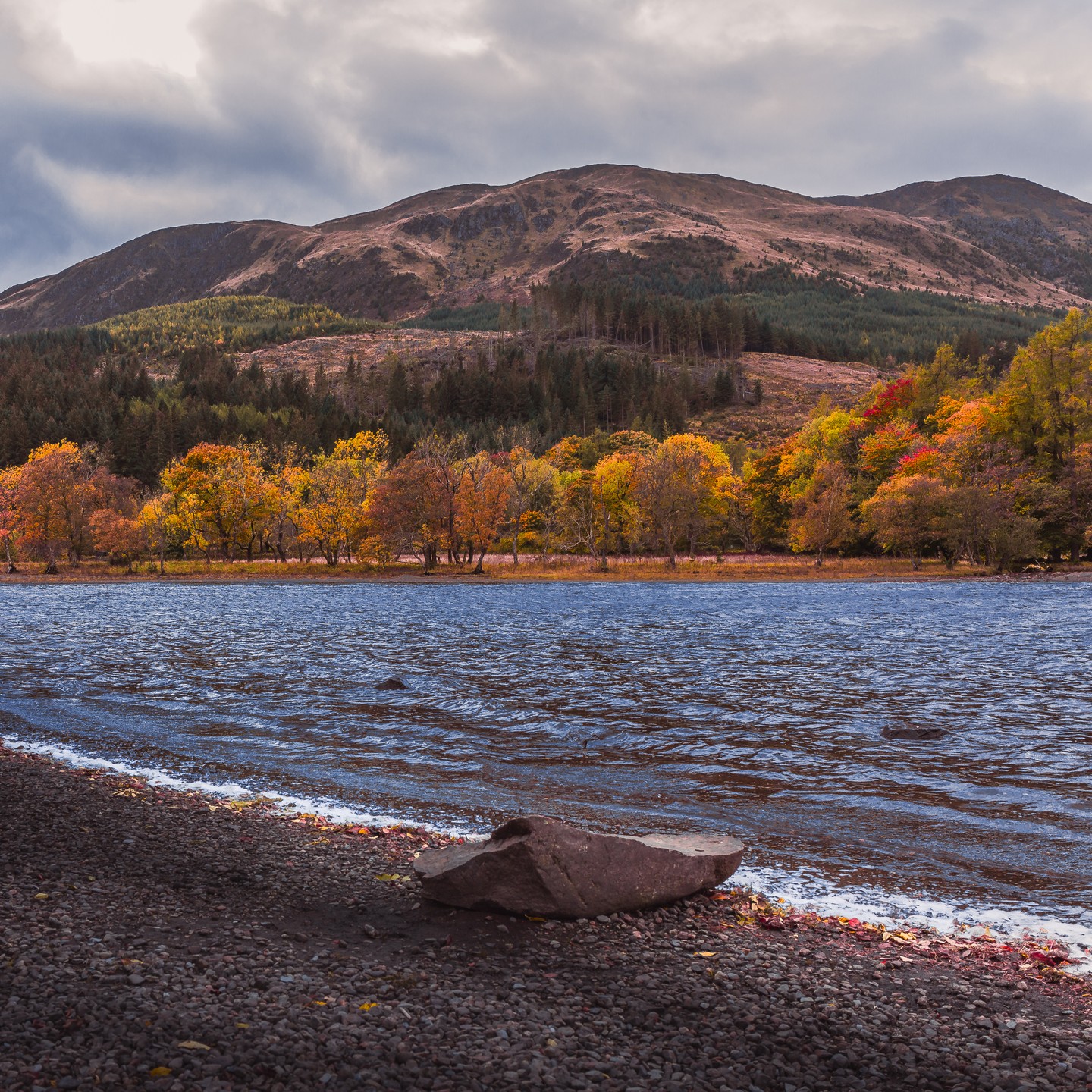 A lone rock on the shore of Garbh Uisge, standing as a quiet reminder that even the smallest things can anchor a vast and timeless view. How Scottishly deep.
#garbhuisge #scottishloch #trossachs #lochkatrine #scotlandviews #visitscotland #scotlandphotography #landscapephotography #explorescotland #hiddenscotland #naturalbeauty #trossachsnationalpark #autumnlandscapes #naturemoments #scotlandadventures #wildscotland #untamedscotland #highlandsandislands #mountainviews #pebblestoneshore #scottishscenery #landscapelovers #reflectionshot #wildernessculture #goldenhourlandscape #scenicviews #lovehighlands #scotlandnature