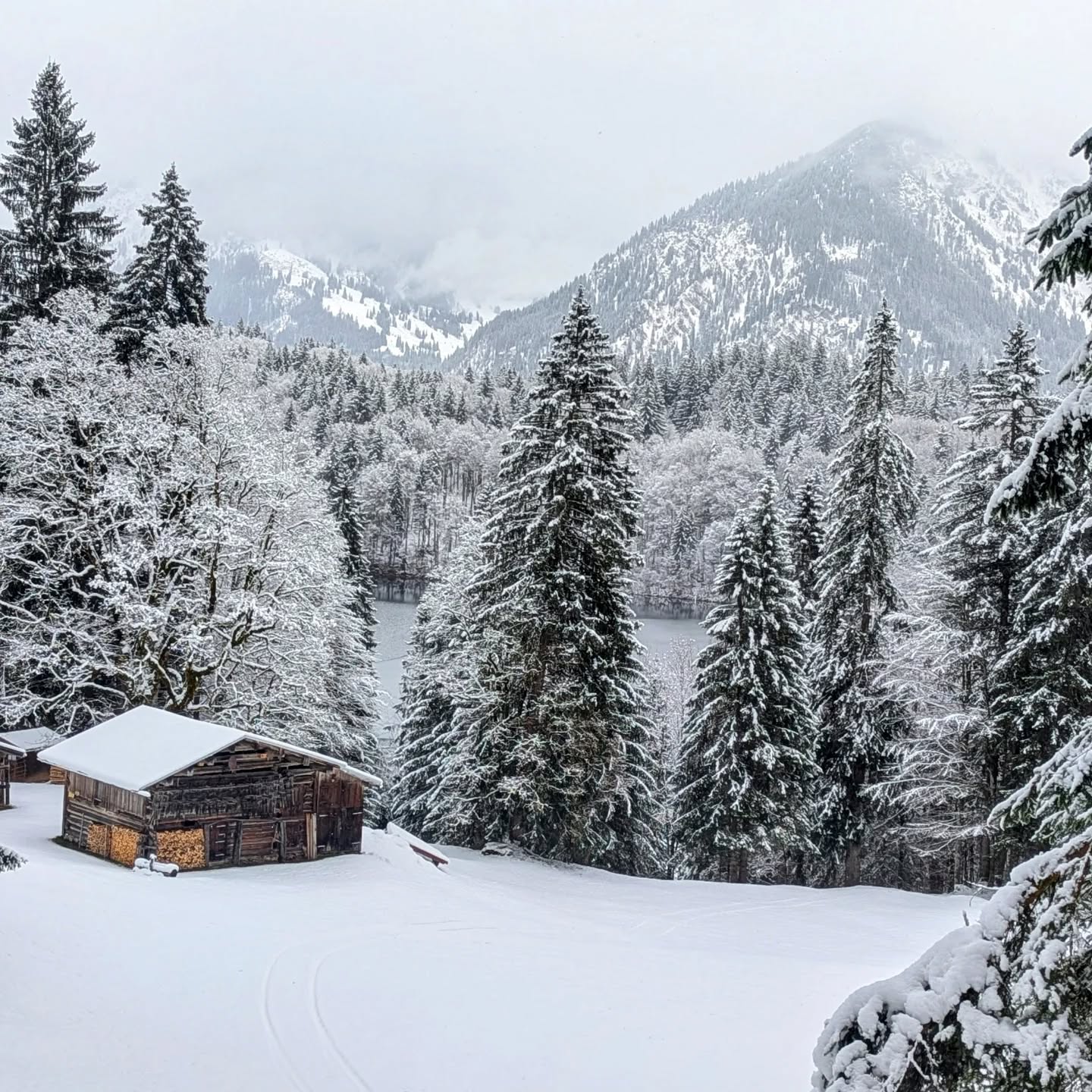 einen schönen 3. Advent ❄️ #hafen31bistro #hafen31appartements #amrum #oberstdorf