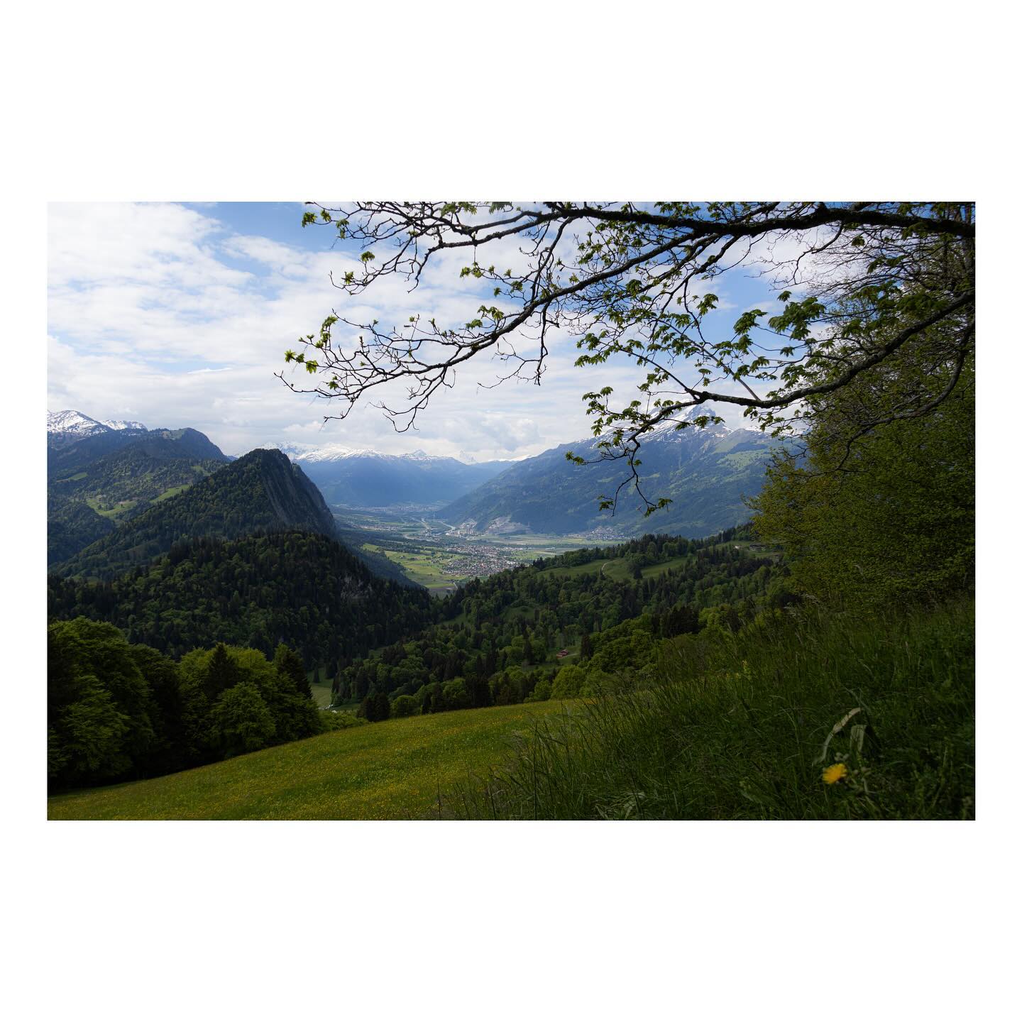 View over the valley
Canon r7 | 1/800s | f5.6 | ISO 100
Dieser Ausblick ins Tal, eingerahmt von den Hügeln rundherum erscheint mir sehr harmonisch.
Um das Bild abzurunden habe ich den Ast des Baumes als Umrandung genommen.
Mit dem Mischwald und durch das Einrahmen des wilden Astes am oberen Bildrand funktioniert dieses Bild auch sehr gut in Schwarz Weiss, denn es gibt viele verschiedene Mitteltöne, welche dem Bild auch in Graustufen eine Tiefe verleihen.
#landquart #valley #landschaftsfotografie #landschaft #graubuenden #canon #canonphotography