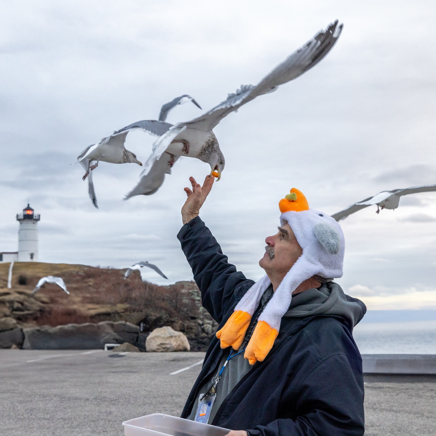 I had the wonderful pleasure of meeting Spinner O'Flaherty today, AKA Gul Man, or best friend of the gulls. We spent a good deal of time talking about the area and what he does for the gulls in his neighborhood. What a wonderful person and we feel so privileged to have met him today,