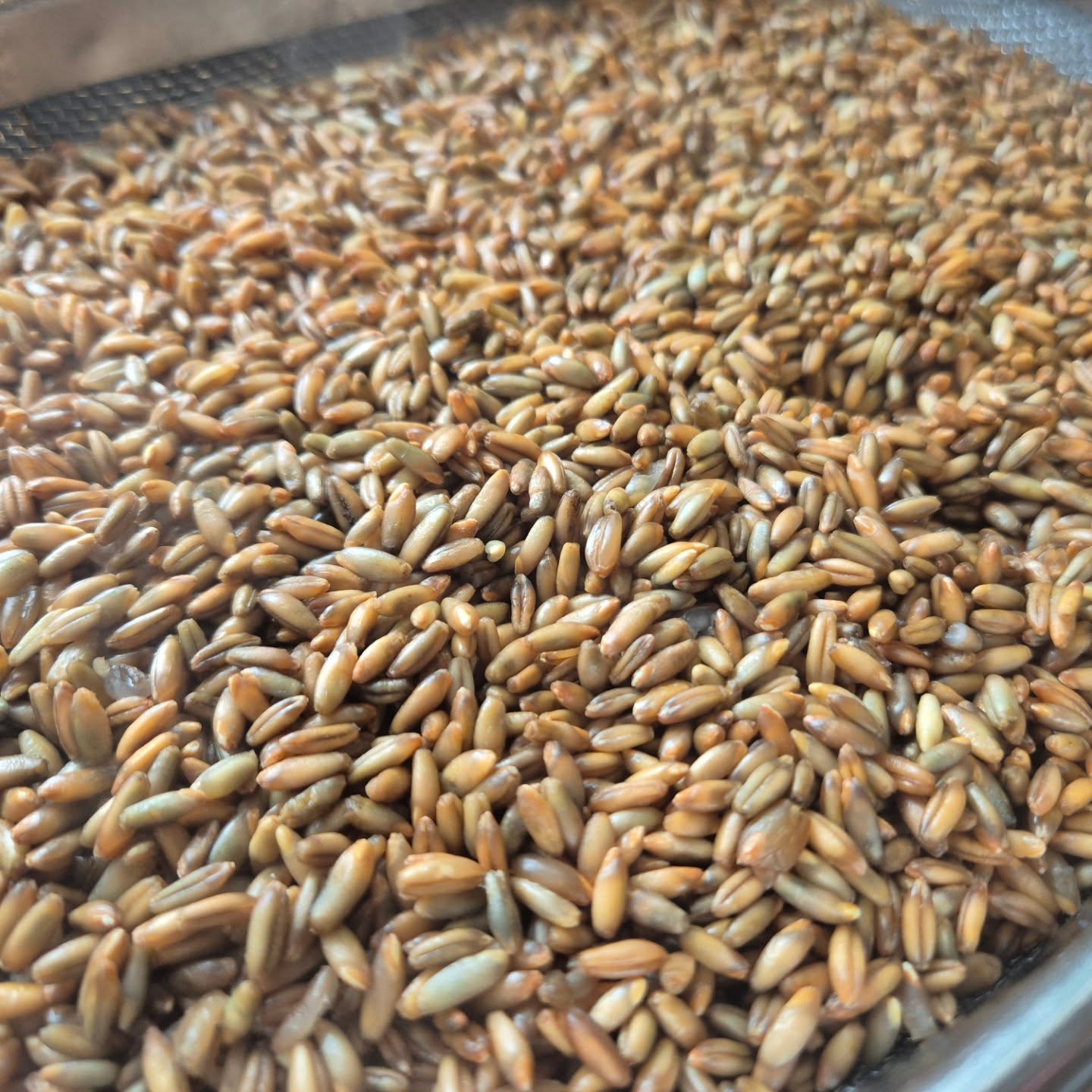 Honest repeatable results. That's what we bring