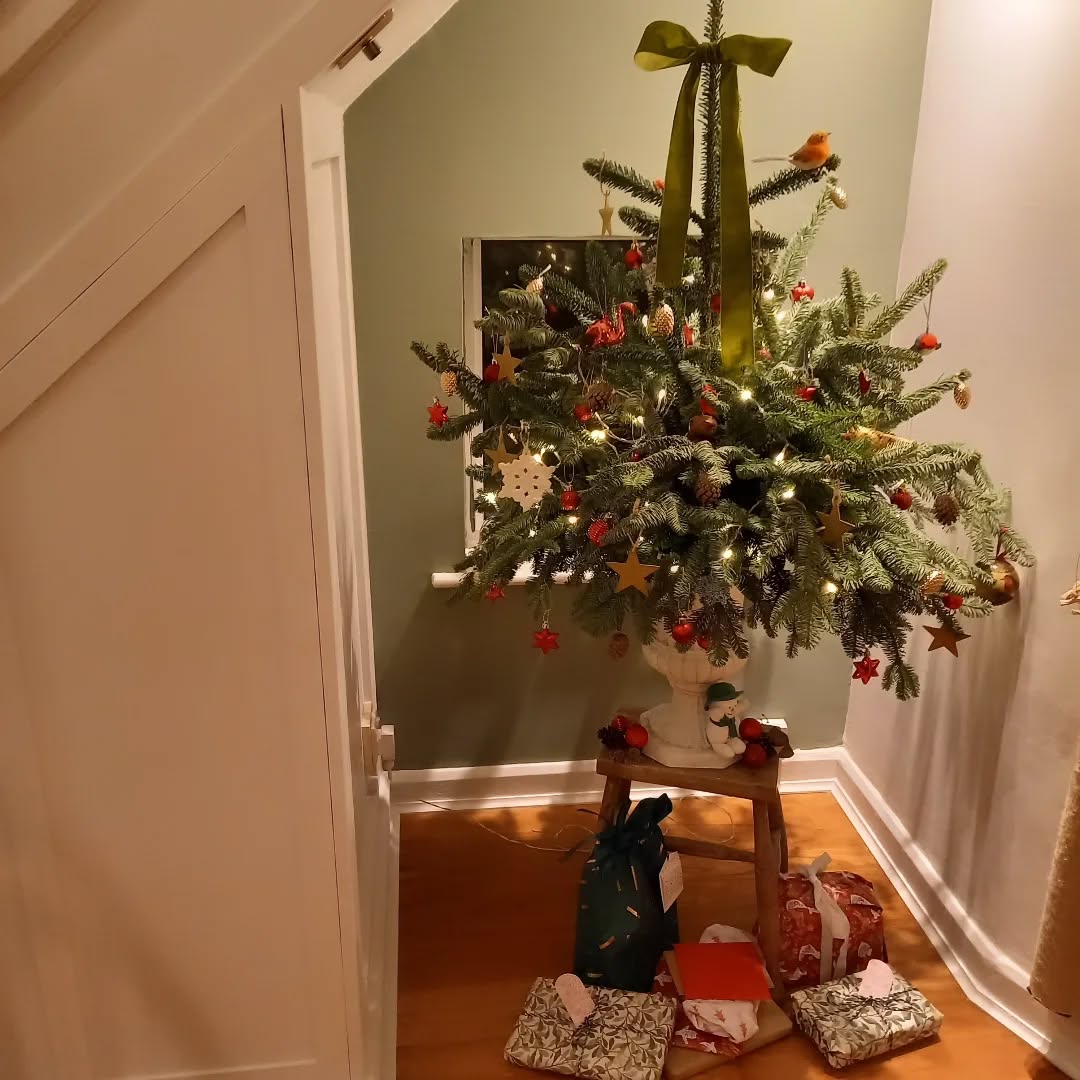 No tree....no problem! I'll make my own from leftovers! 🤣 Having floristry props does come in handy sometimes!
#homemade
#christmas
#foliage
#christmastree