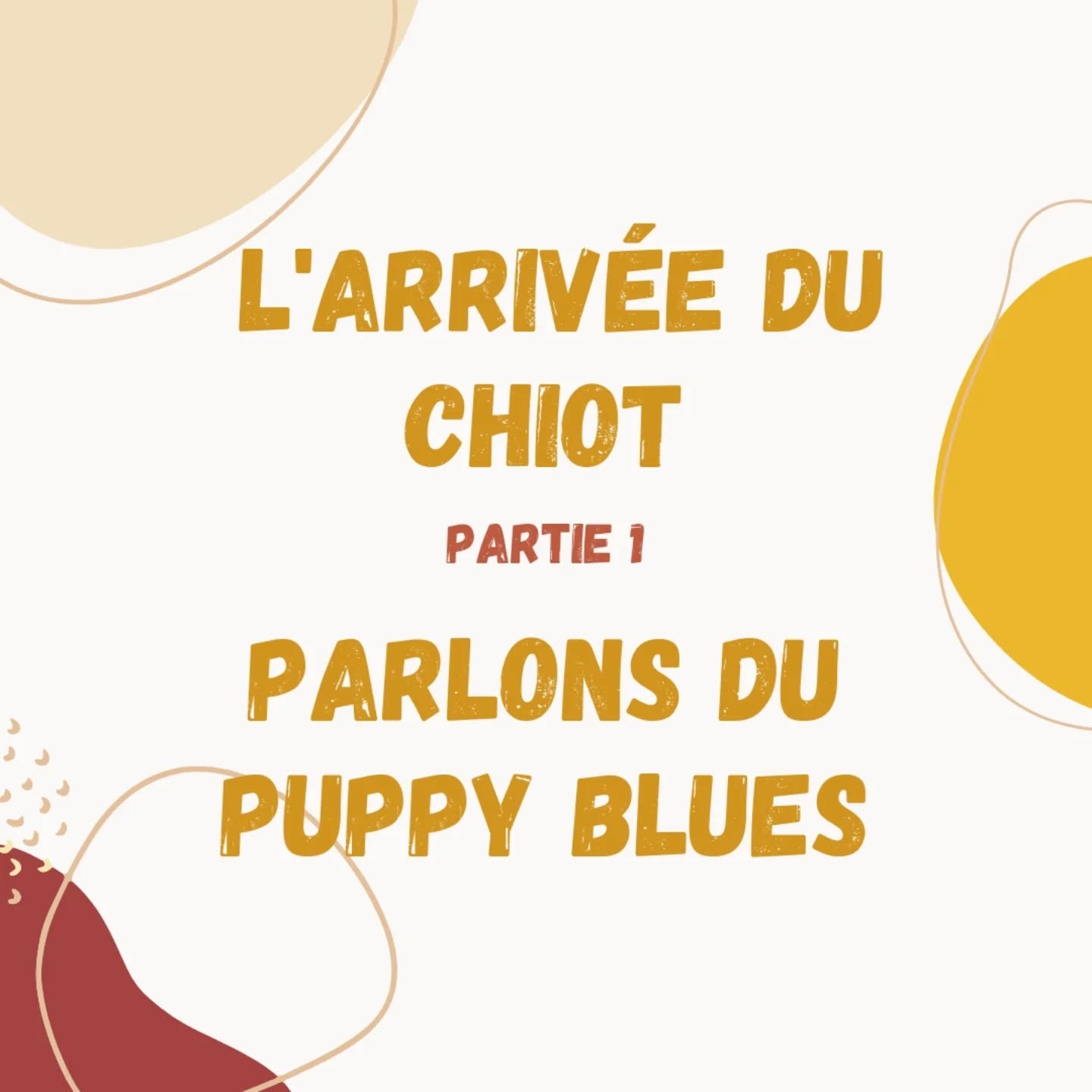 Hello !!
On se retrouve aujourd'hui avec un sujet un peu tabou : le Puppy Blues !
Je tiens quand même à préciser que tout peut bien se passer aussi. Fort heureusement, tout le monde ne sera pas confronté à ça, mais je trouvais ça important d'en parler à l'approche de Noël et des nombreux toutous qui sont adoptés à cette période !
D'ailleurs, ce blues peut tout aussi bien apparaître à la suite de l'adoption d'un chien adulte, elle n'est pas réservée aux chiots 🥴
Alors, soyez indulgent avec vous-même et surtout envers votre nouveau compagnon 🤍