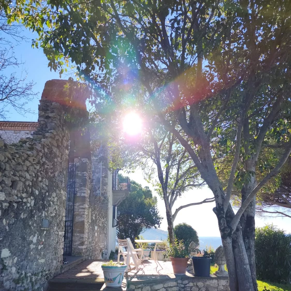 Wow, look at that. Feels like spring in December! It is a blessing to be working outside when the weather is like this. We have been taking a break from social media, but busy with projects such as restoring the interiors, reviving some areas on the farm, and building some fun surprises for our future guest stays. Stay tuned for the reveal in spring!
In the meantime, our calendar for 2025 is open and filling up fast. You can find us on airbnb, booking and VRBO or send us a text/ email for direct bookings (www.santangelovilla.com)