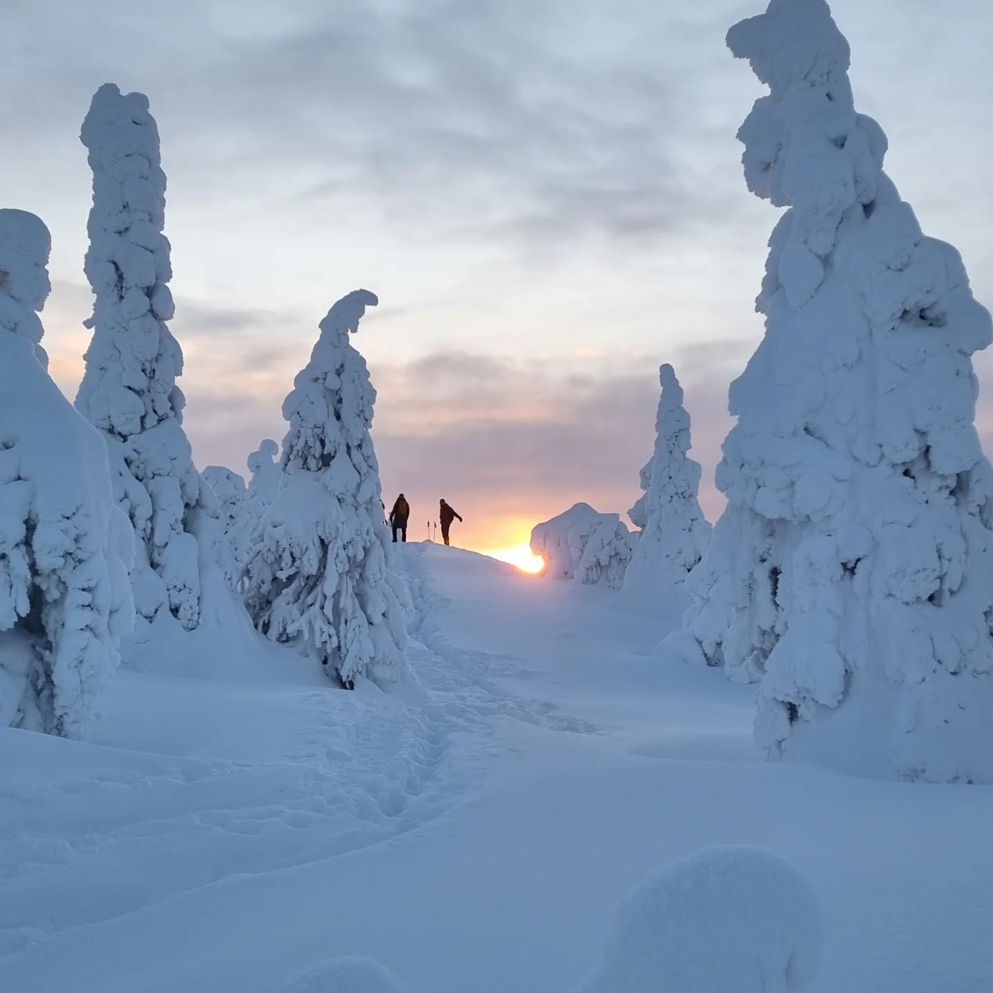 Today at 11:30 AM marks the winter solstice—one of my favorite days of the year. It’s the shortest day, as the North Pole tilts as far away from the sun as possible. On the bright side, from today onward, the days start getting longer, and soon we’ll gain up to 7 extra minutes of daylight each day.
For a snowshoer, winter is just beginning, and the snowfall will keep pace with the increasing daylight. Up on Riisitunturi National Park, the day is 2.5 hours long today. It’s the perfect day for a snowshoe hike from sunrise to sunset—short but not too short, with plenty of time to take in the scenery at a leisurely pace.
💙❄️
Tänään klo 11:30 on talvipäivänseisaus. Yksi vuoden lempipäivistä. Päivä on lyhimmillään, kun pohjoisnapa on kääntynyt niin kauas auringosta kuin suinkin voi. Toisaalta tästä päivä alkaa myös pidentyä ja kohta saamme jopa 7 minuuttia lisää päivänvaloa joka päivä.
Lumikenkäilijälle talvi vasta alkaa ja lunta tulee lisää samaan tahtiin päivänvalon kanssa. Riisitunturilla päivä on tänään 2,5 tuntia pitkä. Tänään on siis hyvä päivä tehdä lumikenkäretki, joka kestää auringonnoususta auringonlaskuun, mutta ei ole turhan pitkä. Onpahan aikaa katsella kaikessa rauhassa maisemia.
#lookup ##riisitunturinationalpark #riisitunturi #lapland #visitlapland #wintersolstice #talvipäivänseisaus #snowshoeing #winterisbeautiful #winter #kuusamo #lookUPproject