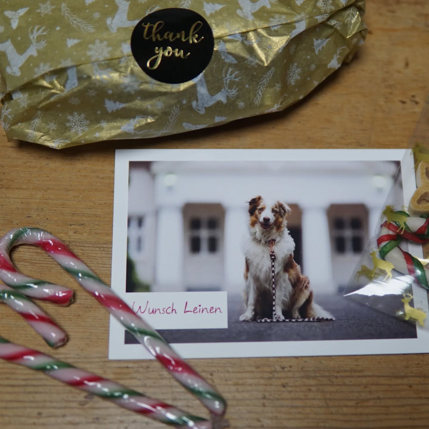 Hinter den Kulissen von Wunsch Leinen war in den letzten Wochen einiges los. 🙈📦
Gestern war der Endspurt und wir haben nochmal vollgas gegeben, um auch noch eure letzten Last Minute Bestellung zu fertigen und zu verpacken, damit alle pünktlich bis Weihnachten ankommen. 🎁🐕🎄 🥰
#adventszeit #weihnachtsgeschenke #weihnachten #weihnachtszeit #advent #hunde #hundeliebe #hundewelt #bilddestages #bestellungen #weihnachtsbestellungen #tauleinen #tauhalsbänder #tauprodukte #hundeleinen #hundehalsbänder #paracord #paracordprodukte #paracordsets #paracordfashion #paracordlifestyle #paracordliebe #halsbänder #leinen #wunschleinen