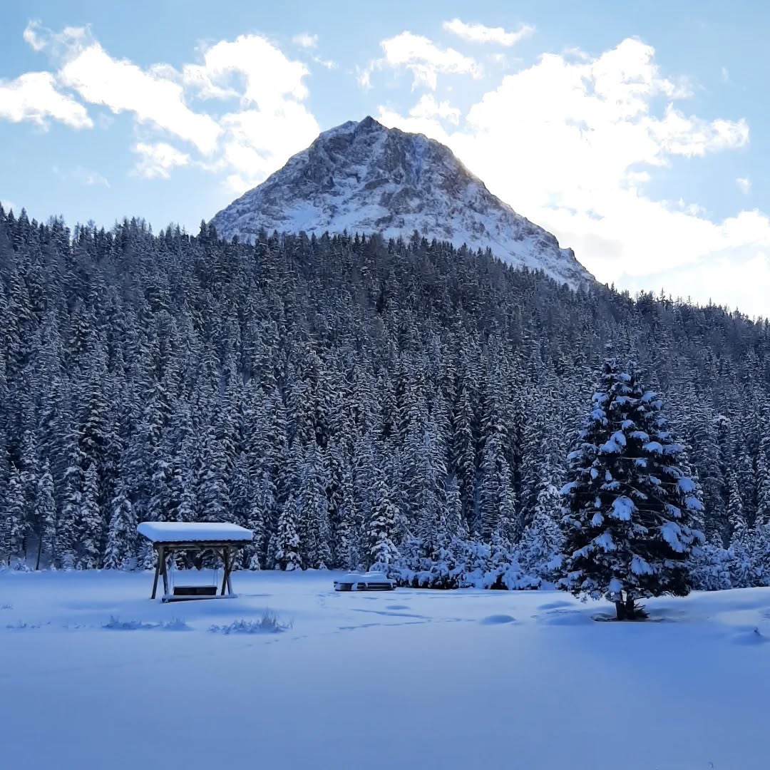 Fröhliche Weihnachten und schöne Feiertage wünschen wir! 🤍☃️🕯🎄
Das war der Dezember am Tiefhof ❄🙌
#christmasinthemountains #whitechristmas #farmholidays #urlaubambauernhof
#snowymountains #snowlovers #winterinthemountains #wonterwonderland #mountianview #tyrol #visitaustria #visittirol