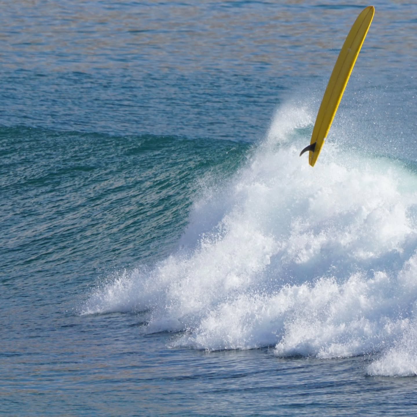 Welcome home 🇲🇦 snoopy Style surf school.
.
.
.
.
.
#surfmorocco #surfcoaching #surftrip #surfschool #surfphotography #surfguiding #surfcampmorocco