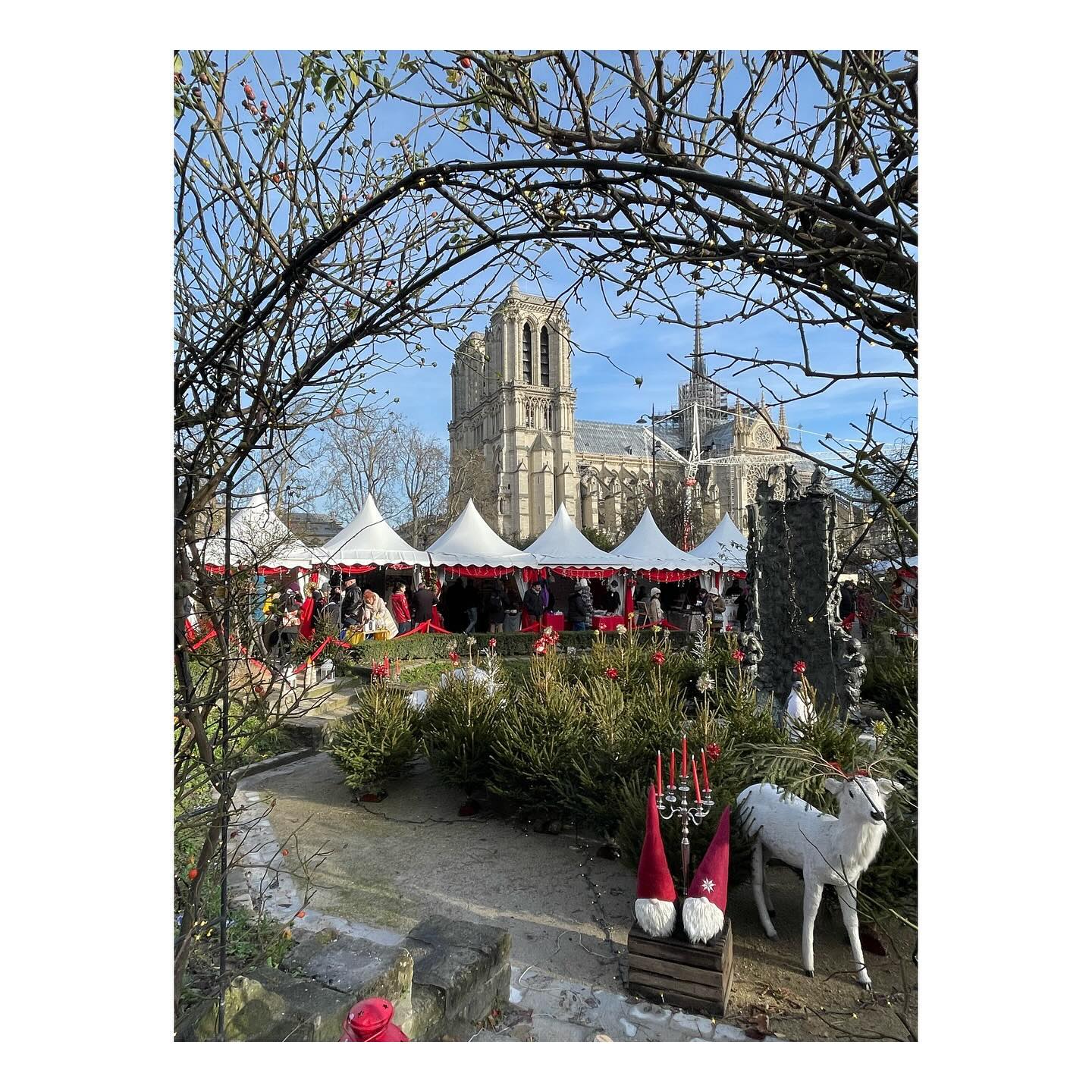 Christmas Paris - very magical and festive.
#paris #notredame