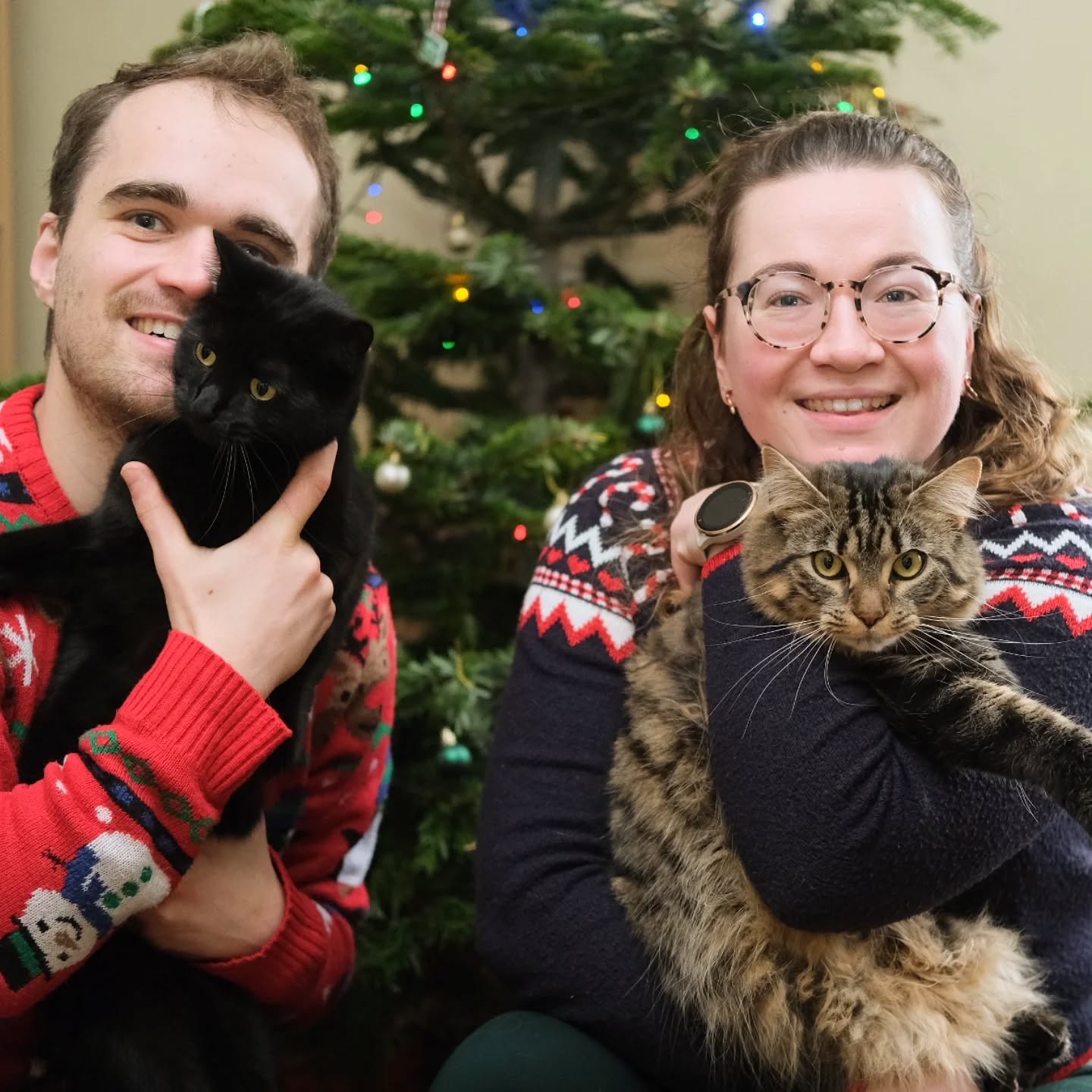 Happy Christmas from our little Haven family 🎄🎉
Luckily we're better at photographing couples than our own cats 😂