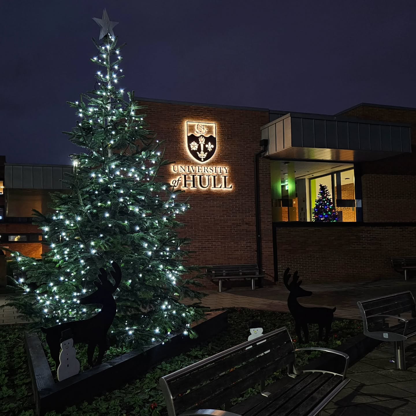 University of Hull on Friday evening 🎄
#UniversityofHull #HullUniversity #Christmas #christmaslights