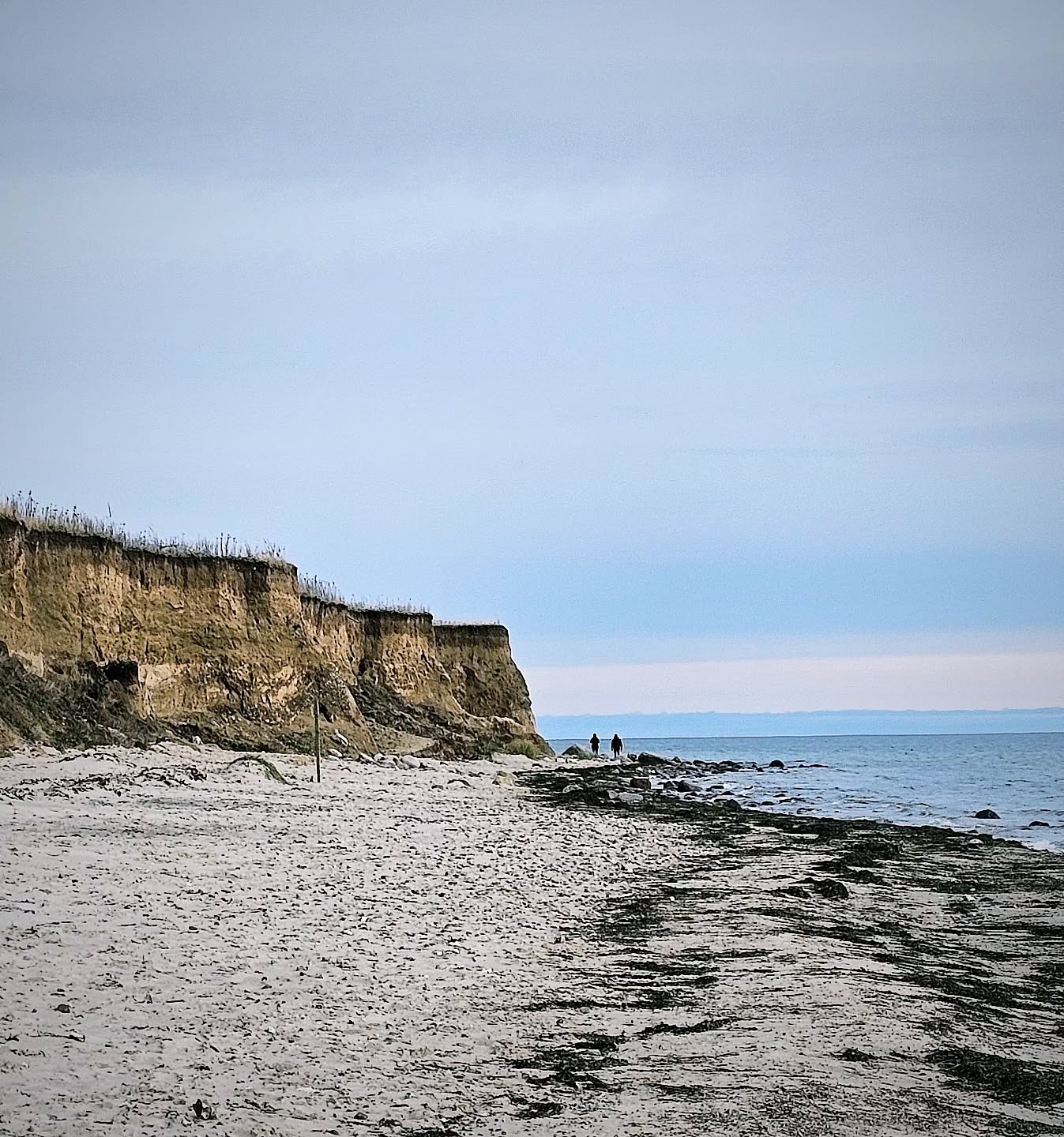 Ein Tipp für einen schönen Steilküsten Spaziergang auf Fehmarn ist der Strand südlich von Wulfen. Vom Haus im Felde aus kann man einfach mit dem Rad die Küste entlang fahren unter der Fehmarnsund Brücke hindurch bis zum Campingplatz Miramar und dann von dort aus loswandern. Im Winter hat man den Strand dann fast für sich allein.
A recommendation for a nice steep coast walk is the beach south of Wulfen at the island Fehmarn. Coming from our 'Haus im Felde' by bike you can take the way along the shore, passing underneath the Fehmarnsund bridge and going futher untill you come to the camp ground 'Miramar' from where you can start your walk. In wintertime you will be almost alone at the beach.
#hausimfelde
#Fehmarn
#Albertsdorf
#Ferienwohnungen
#ferienappartements
#urlaubammeer
#ferienammeer
#winterspaziergang
#winterammeer
#Steilküste
#holidayappartements
#holidayattheocean
#holidayatthesea
#winterwalk
#weihnachtsspaziergang