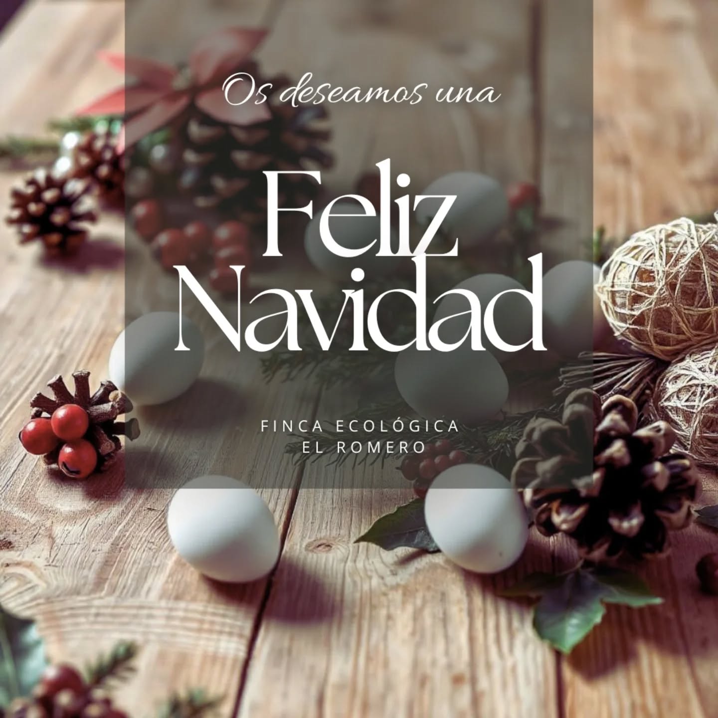 Os deseamos a todos una Feliz Navidad. 🎄💫🥚🐔