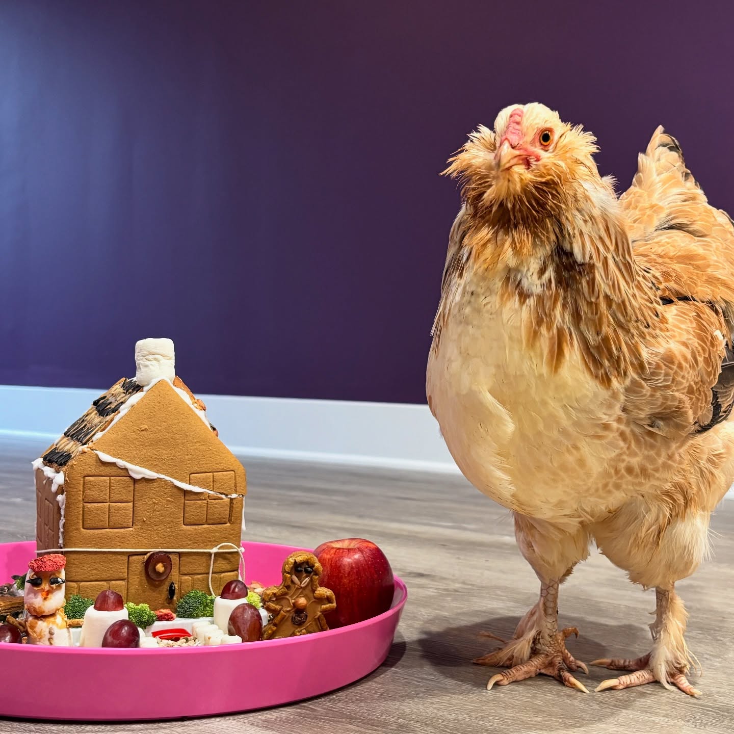 Not your average gingerbread house but the girls love it. š Sometimes itās just fun to be silly with food.