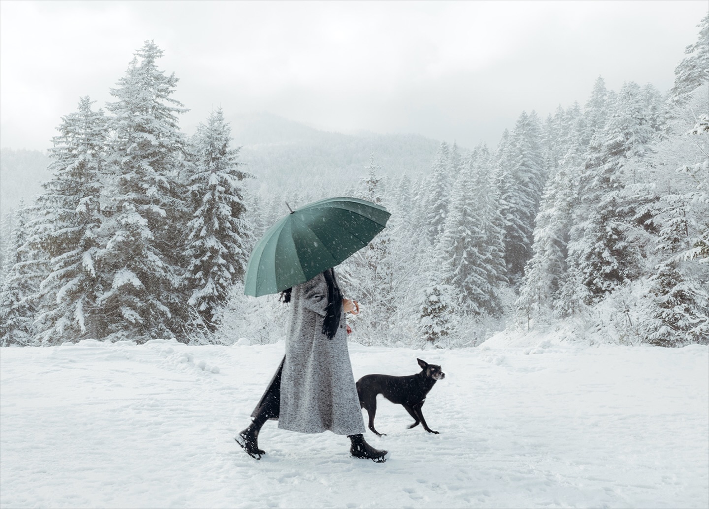 Euch allen ein schönes Weihnachtsfest, besinnliche oder wilde Tage- oder beides - wie ihr es euch wünscht 🤍
#realitycheck Wenn meine Hündin mit den Augen rollen könnte-sie hätte es getan. Manchmal braucht es 40 Anläufe, bis dann alles wirklich passt ✌🏻
.
.
.
.
#christmastime
#snowanddogs
#piasimonphotography
#christmaswishes
#lovemyjob