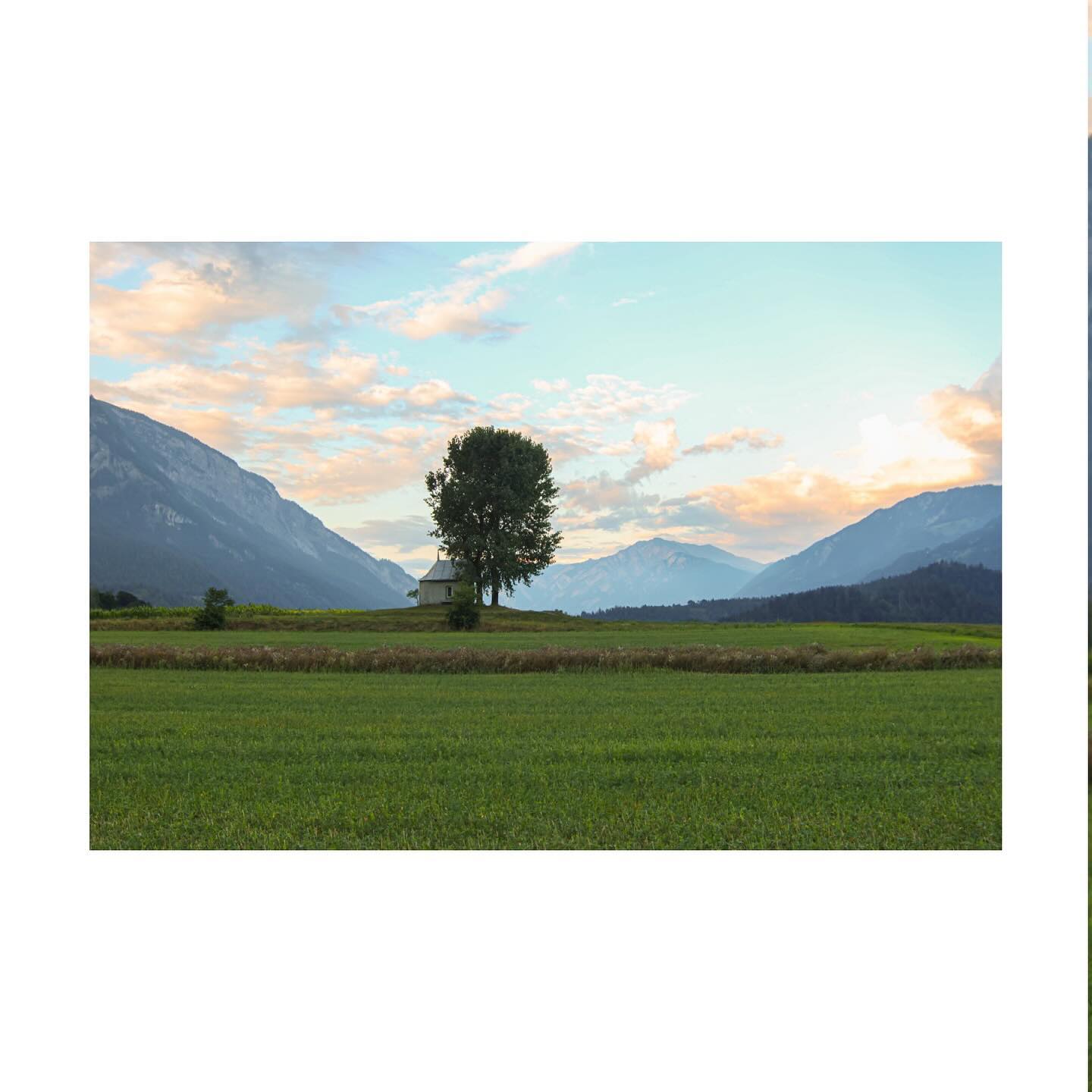 Roted Past
Bei diesem Bild sieht man schön die unterschiedlichen Ebenen, die dem Bild Struktur verleihen.
Im Vordergrund noch scharf und klar begrenzt erscheinen sie in der Ferne nur noch als zusammengefallene Farbnuancen. Um ein möglichst grosser Bereich zu fotografieren hab ich die Kamera auf Kniehöhe gehalten und aus der Untersicht-Pers-pektive fotografiert.
⚒️ Canon EOS R7 | 1/85 sec | f/5.6 | ISO 125
#canon #canonphotography #canonphoto #landscape #landescapephotography #kapelle #nature #naturephotography #natural