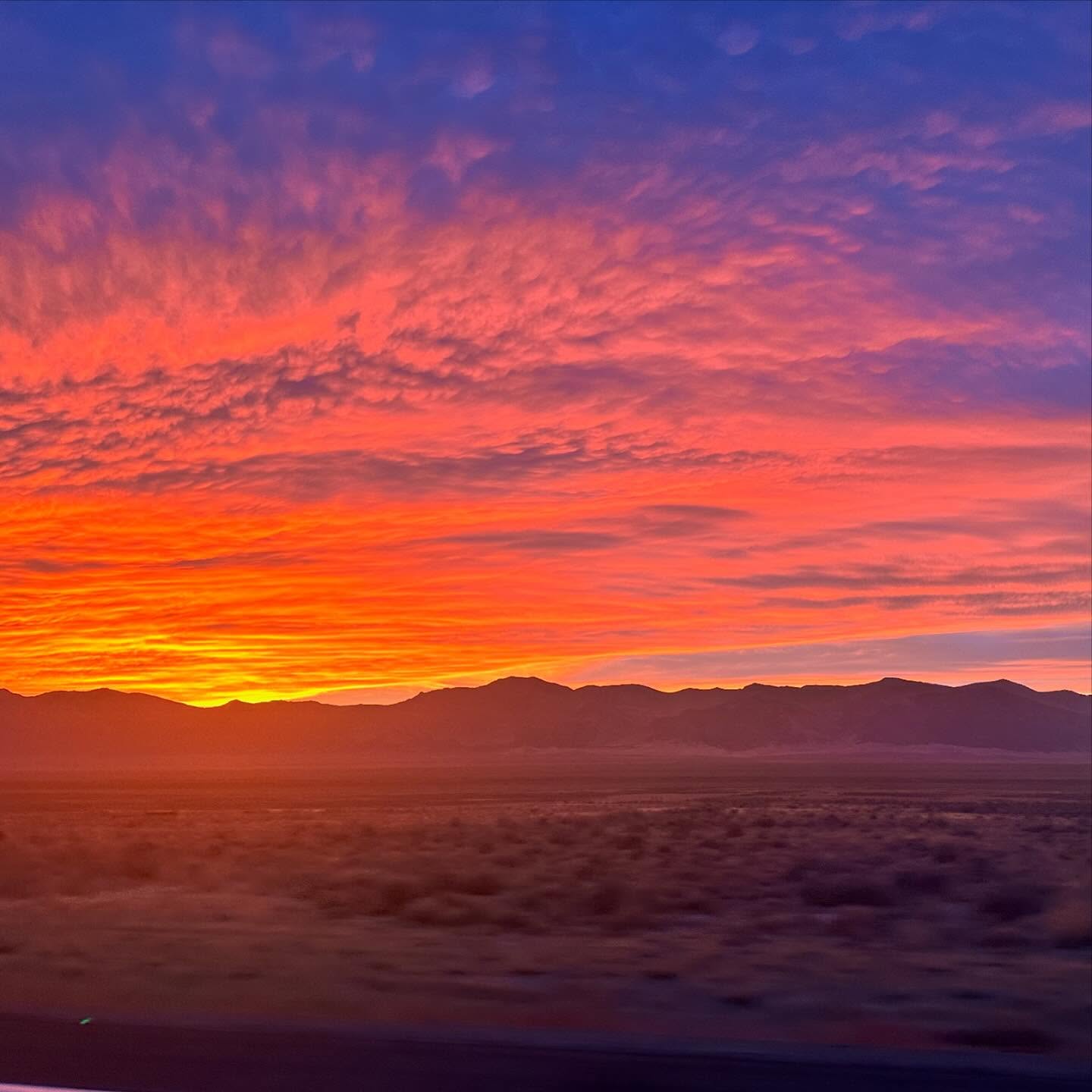 December isn’t the most photogenic month around here, flower wise, but taking stock of all that happened this year and all I hope to see happen next year has me scrolling my photos for something to sum it all up. This one feels appropriate - it’s a sunset we caught in the Nevada desert on the way home from my son’s last fall baseball tournament. It was gorgeous and unexpected and left us all a little speechless - and it didn’t even have to try to do it. And I’m realizing now that the reason things have felt like an uphill battle around here is because I’ve been trying too hard. I’ve been thinking so hard about how to keep up with everyone else’s beauty that I’ve forgotten to create beauty in my own way. And like they say, comparison is the thief of joy.
So what does this mean for you? It means 2025 flower season is going to be a little different! I’m focusing - personally and professionally - on JOY this year. And that includes things like making space for my kids to be part of the flower business, in their own special ways. So stay tuned on how we’re going to make this a reality - we’ve got a lot to figure out! For now, we’re gonna work on those holiday leftovers while I finish up my seed orders. Here’s hoping everyone is having the loveliest of holiday seasons.