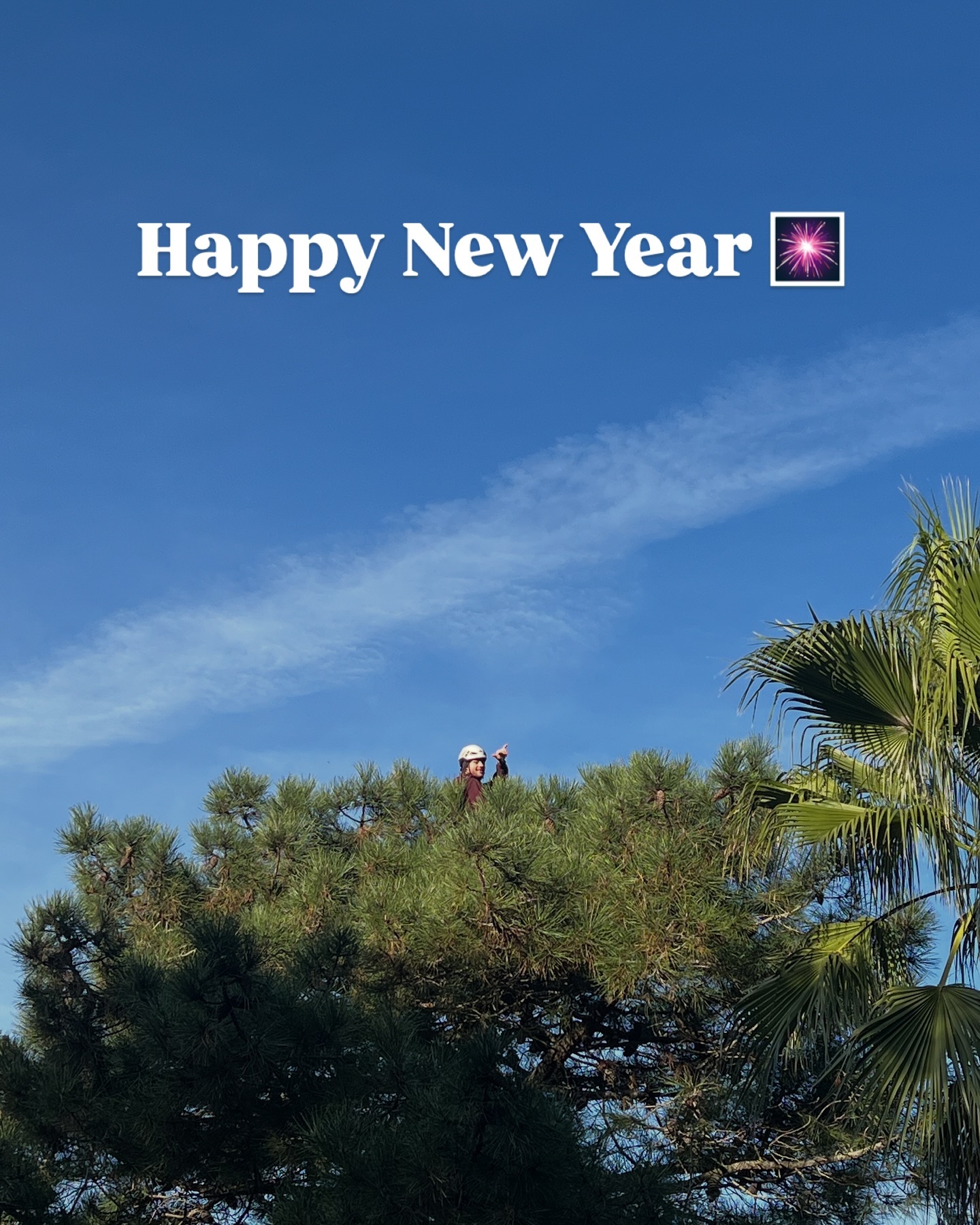 Thank you 2024, for an incredible year filled with amazing jobs, new connections and unforgettable moments ✨
Meeting new people, traveling the world and learning from others—whether through their unique skills or simpler approaches—has been a true blessing and dream come true 🇩🇪🇧🇷🇫🇷
In tree climbing, it’s often the little things that make the biggest difference, and the same goes for life. So, here’s to the small wins and the experiences that shaped this year.
Welcome, 2025! May you be as beautiful, joyful and full of opportunities to grow.
Cheers to another amazing year ahead 🥂
#treeclimbing #treecare #arborist #2025 #treework #foodforest #dmm #huqsvarna #petzel #notch #travel