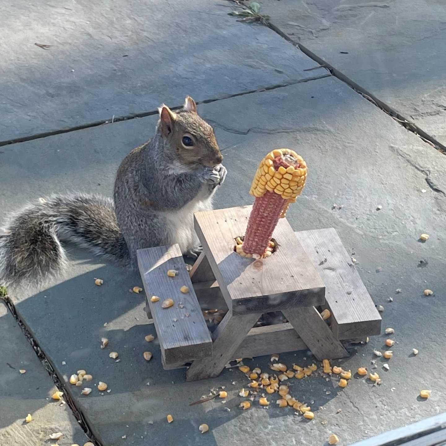 The environment of eating can make all the difference. š½āØ Whether itās sitting at the table, enjoying a snack outdoors, using a fun plate, or sipping from a silly mug, small touches can add satisfaction to your meal.
What can you do to make your eating space more enjoyable today? š¤