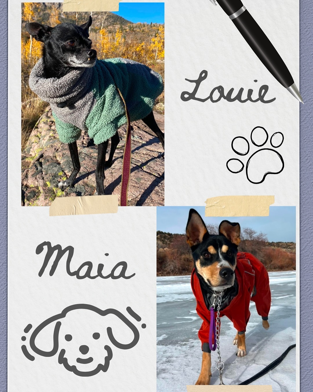 We love our Doobie pets πππ₯Ί