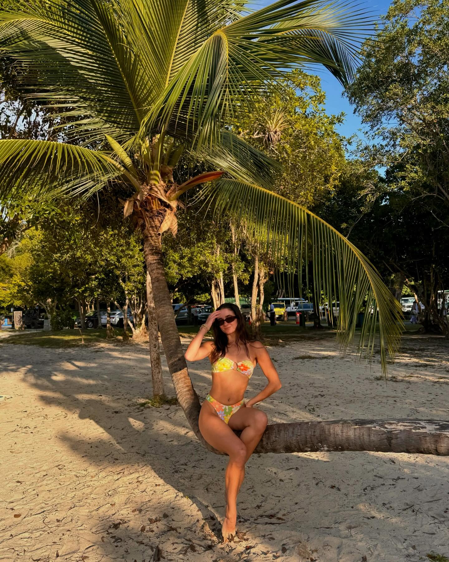 saw a lot more palm trees than pine trees this christmas week