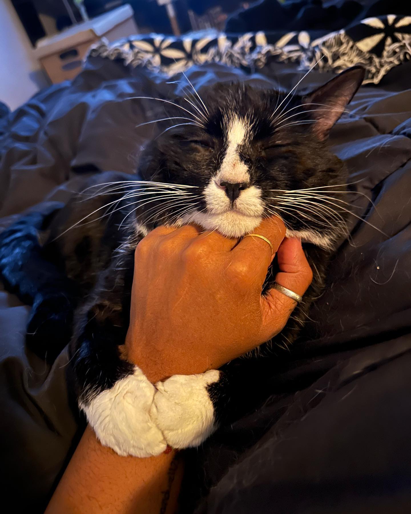 Some of my favorite moments in the last 6 months of 2024.
Honoring 2024 for all it’s absolutely incredible beautiful growth, change, epic love, epic laughter, epic magic, epic grief, epic heart break and all the mondane moments in between.
God is so great. And I am so grateful.