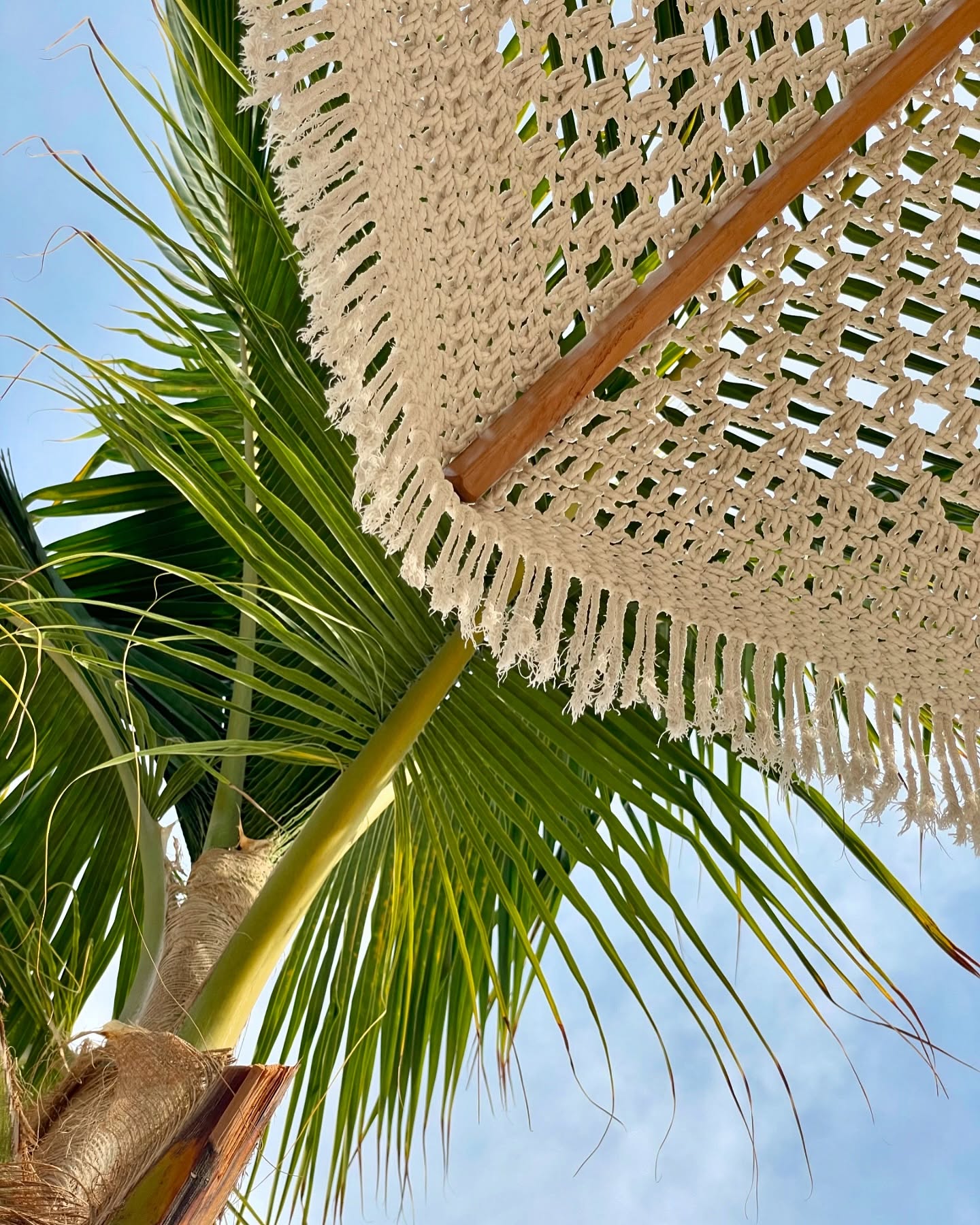 un 31 décembre sous le soleil 🥂✨
#dubai #thepalmdubai #endoftheyear #31december #voyage #travelphotography