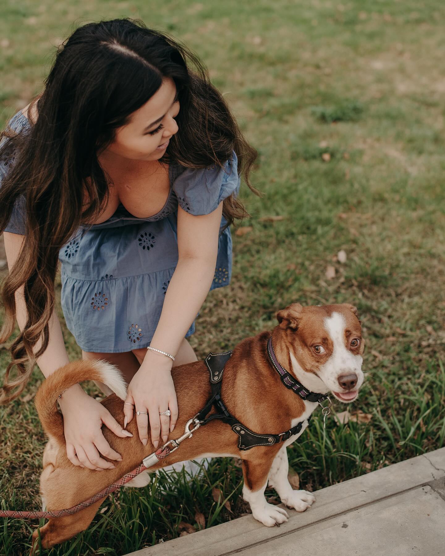 a dog for every day I’ve been here