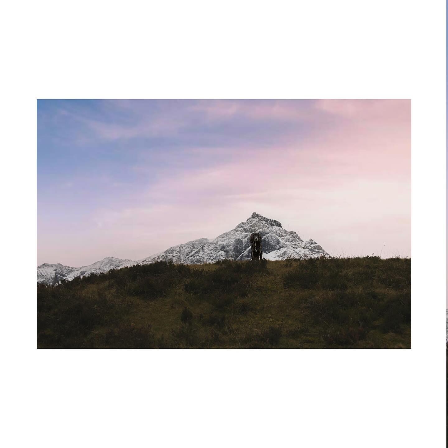 Morning In The Alps
⚒️ Canon EOS R7 | 1/500s | ISO 100 | f5
#sunrise #sunrisephotography #canon #canonphotography #photo #photooftheday #photogram #cocker #cockerspaniel #cockerspanielsofinstagram