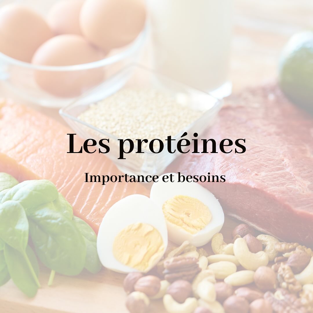 L’importance des protéines 🥚
