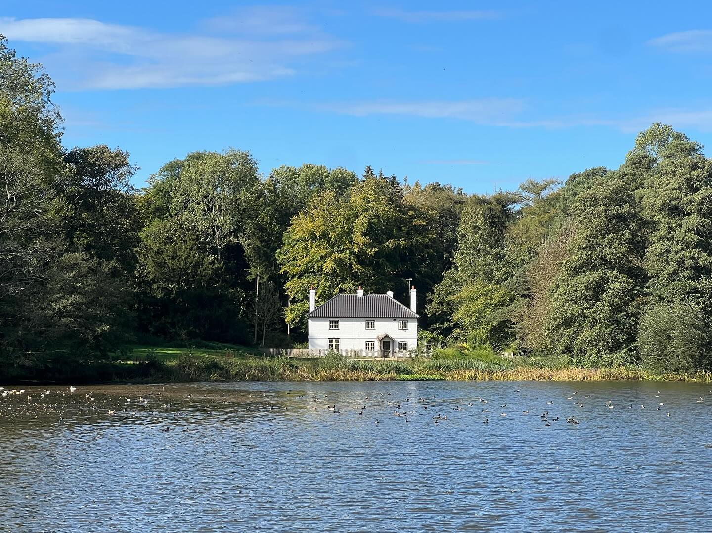 Beautiful @washmeres - the idyllic lakeside cottage, available for holiday lets