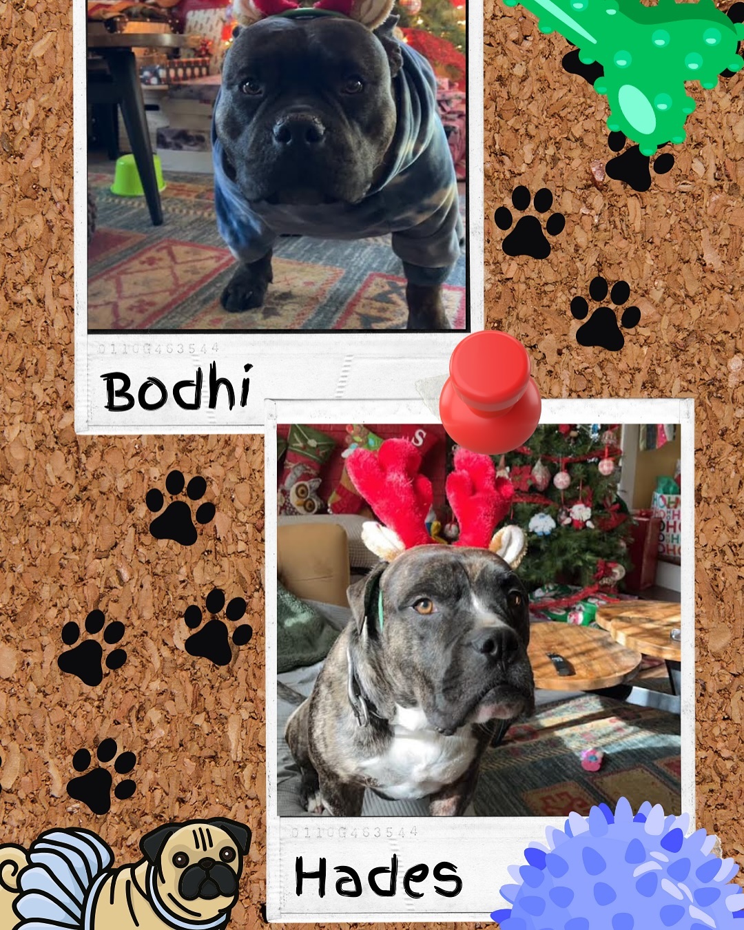 We love our Doobie pets πππ₯Ί