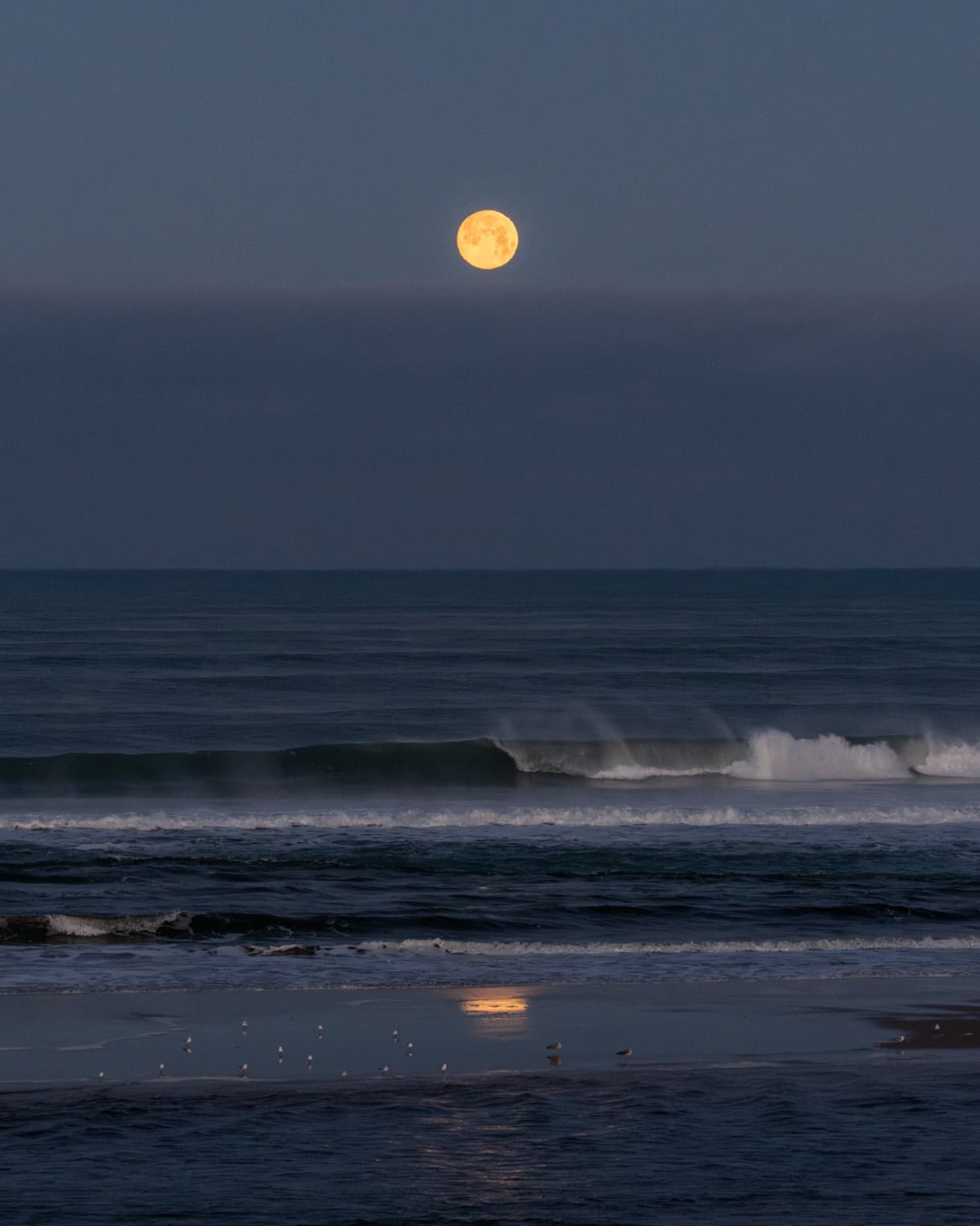 Treize Janvier sablé-givré ❄️ #mimizan #mimizanplage #ocean #moon #lune #moonset #moonlight #sunsetphotography #moonlovers #jamaissansocean #ocean #coucherdelune #sunrise #landestourisme #mimizantourisme #surfphotography #biscarosse #contis #hossegor #vieuxboucau #photographelandes #photographemimizan #landes #leslandes #nikon #manonduport