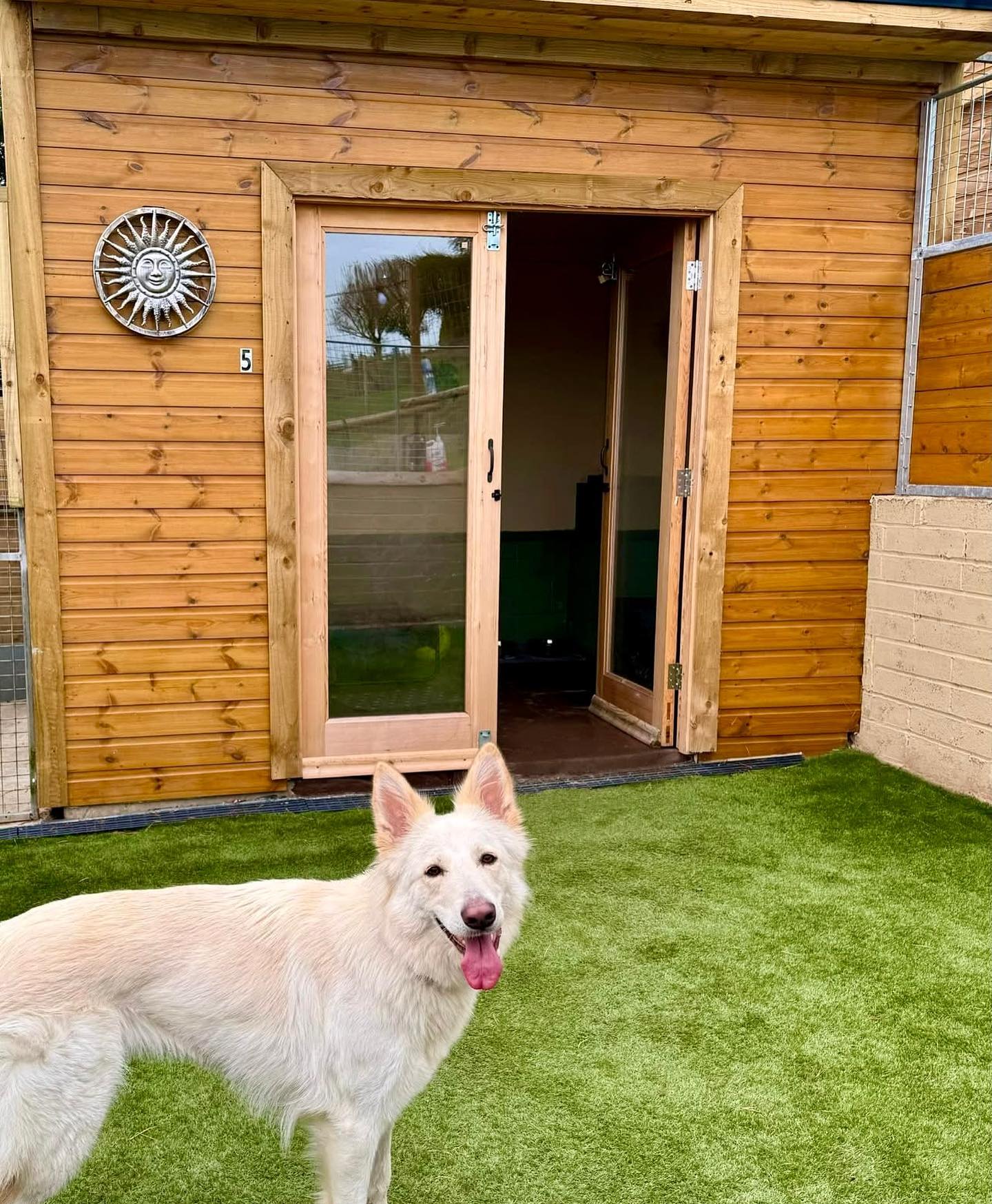 The pawfect holiday home for your pup 🐶🏡
#luxurydogboarding #yorkshiredogkennels #yorkshiredog #yorkshiredogs #dogboarding #dogboardingbusiness