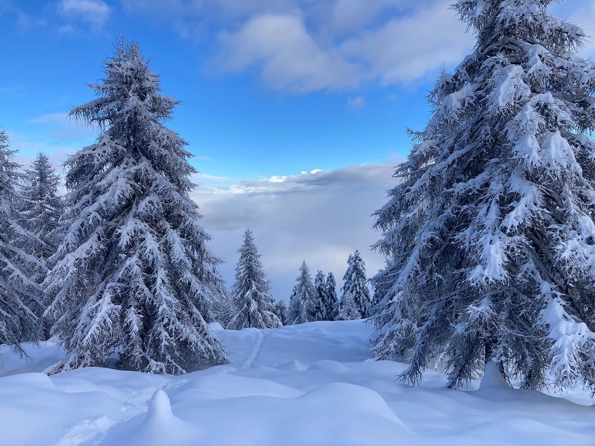 Finalmente ❄️❄️❄️❄️
Alpe Scoggione 07.01.25 🤩