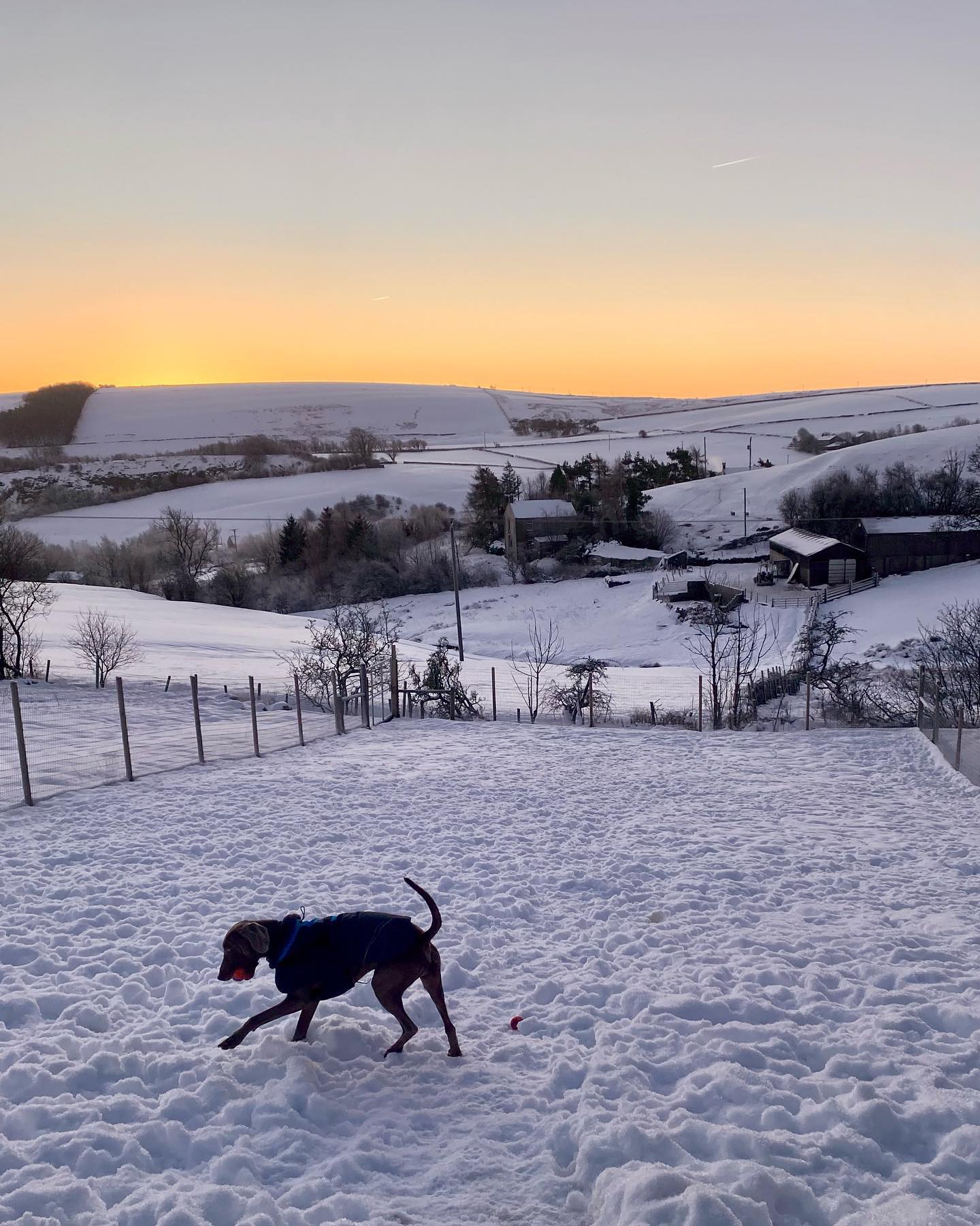 Beautiful winter mornings 🌅 What a chilly start to the year we’ve had!
#dogwalkinglife #dogsinthesnow #dogboardingbusiness #lothersdale #northyorkshire