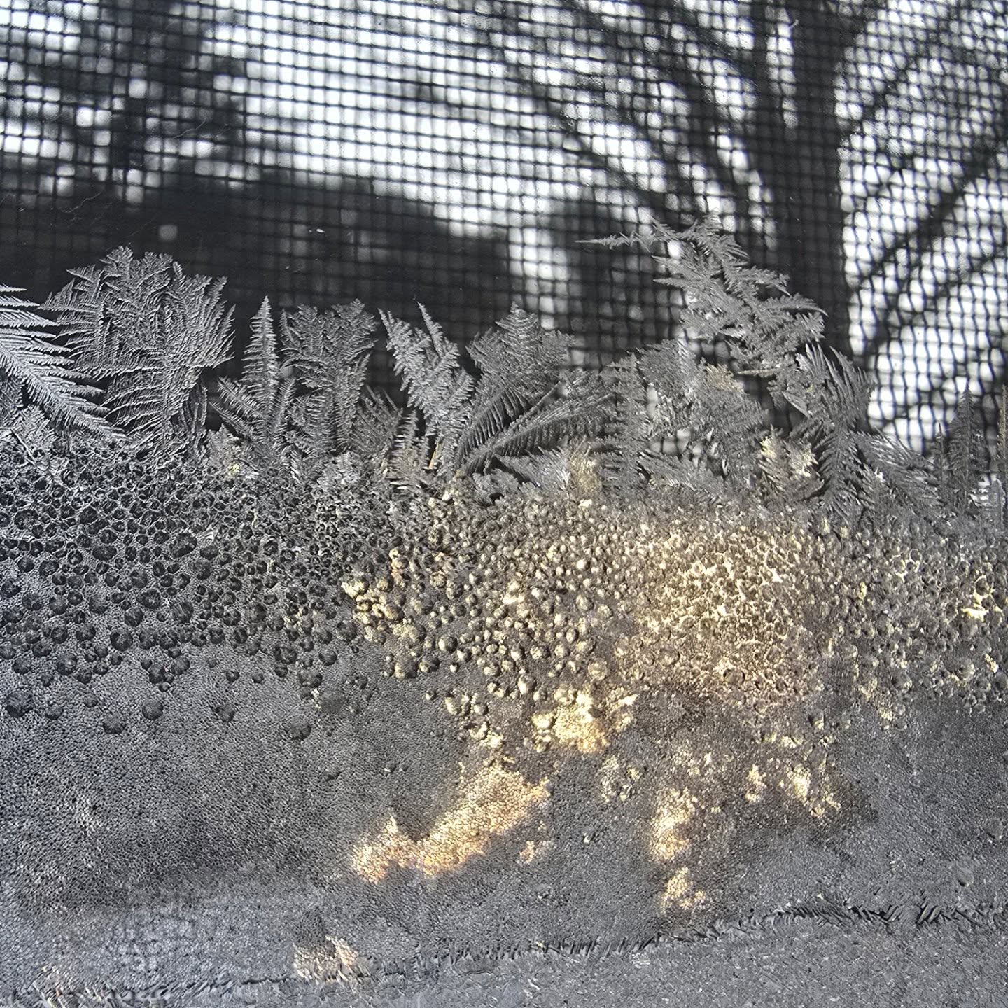 Melt away, lose yourself in time, even for a tiny bit. Why not ?