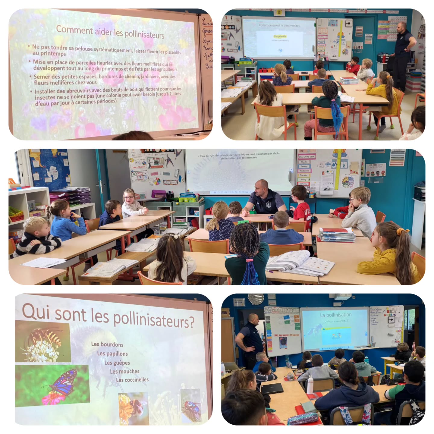 Lundi, Jean-Baptiste Baudet, apiculteur sur Septème, est intervenu dans les classes élémentaires pour parler biodiversité et faire découvrir aux élèves le rôle des insectes pollinisateurs.
Un grand merci à Jean-Baptiste pour son intervention de qualité et à hauteur d'enfant!
#enseignementcatholique #ecolecatholique