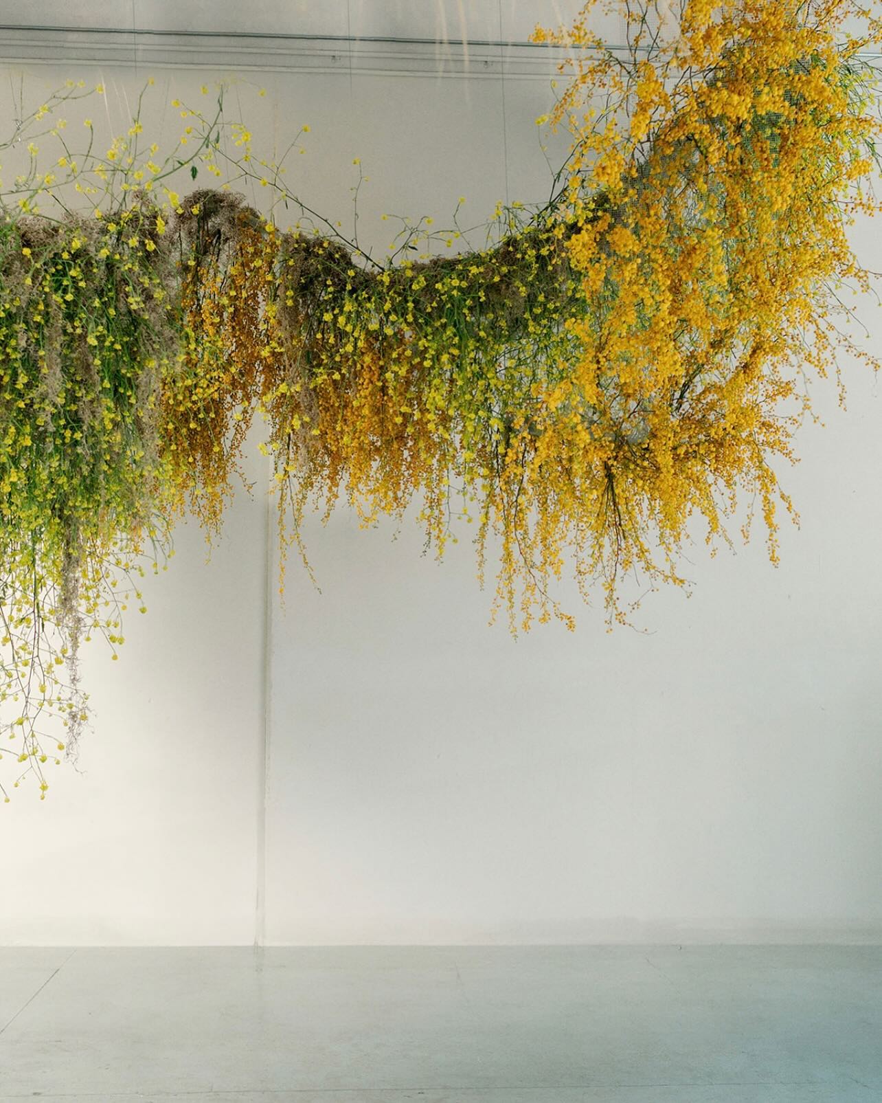 Workshop: Waves
Last year I had the honor of being a guest instructor in Siren Floral Co’s spring workshop. My focus was installations. As a freelancer I’ve worked on numerous installations for people all over the world. I talked about every aspect of an install, from the beginning stages of the design concept, to figuring out mechanics and rigging, tools needed, ordering and foraging, team dynamics, and safety. I loved being with people from all over, making the installation, and teaching others to be more confident about installations.
Thank you Rachael for having me and supporting me ♥️
Host: @sirenfloralco
Photo: @ashleyludaescherphoto