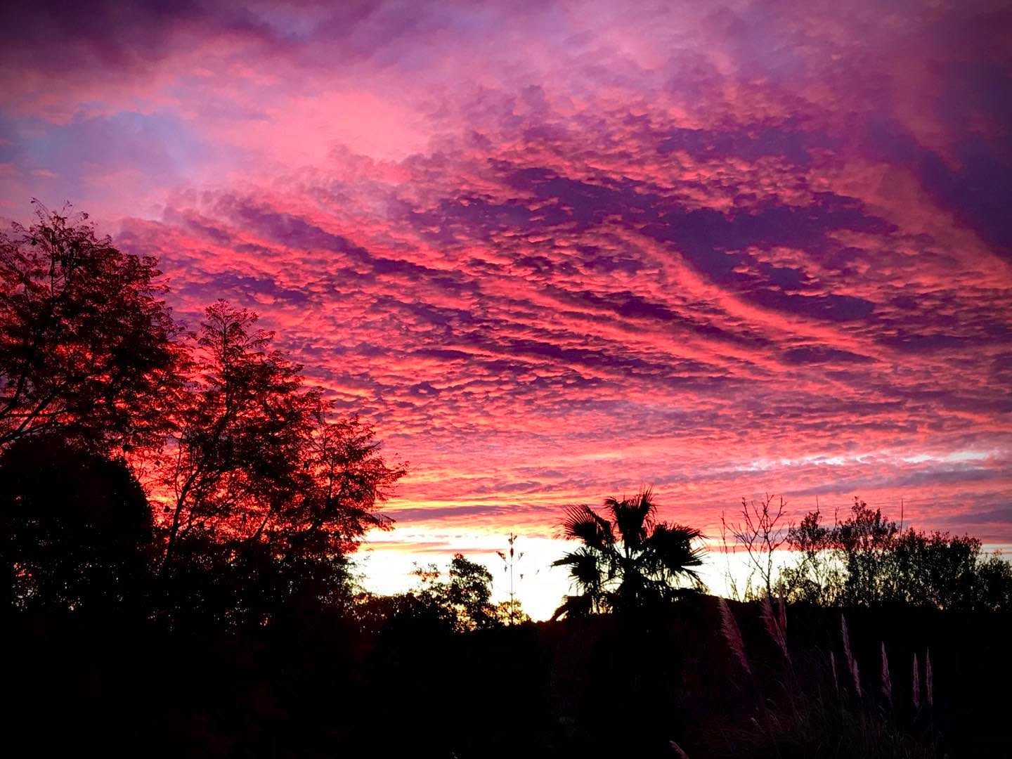 Morning glory 🤣🤣🤣