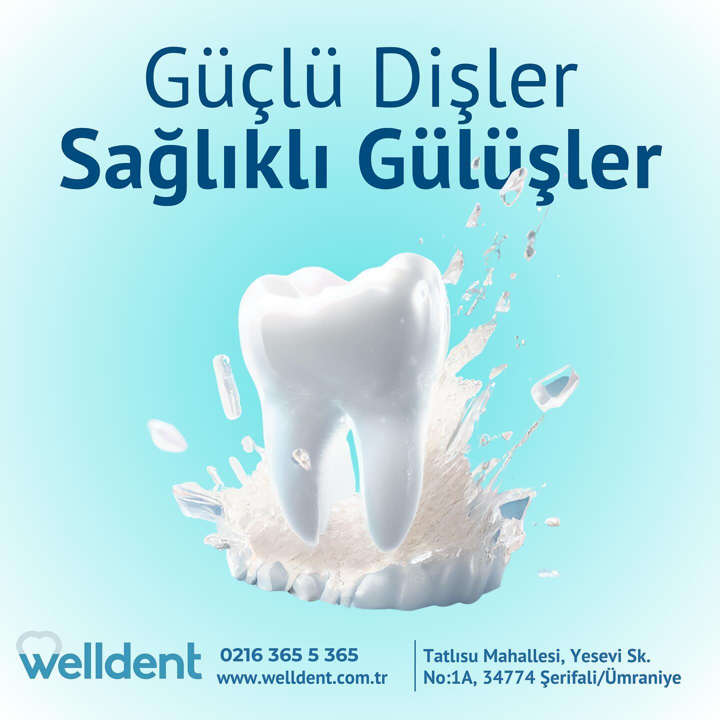 Güçlü dişler, sağlıklı gülüşler. 😊🦷
📱 0 216 365 5 365
🖱️ www.welldent.com.tr
📌 Bu paylaşım bilgilendirme amaçlıdır.
Reklam ve rekabet amacı içermemektedir.
#Welldent #SağlıklıGülüşler #BirÖmürTebessüm #WelldentDişKliniği #TatlısuMahallesi #Ümraniye #Şerifali #İstanbul #DişSağlığı #DişHassasiyeti #DişTemizliği
