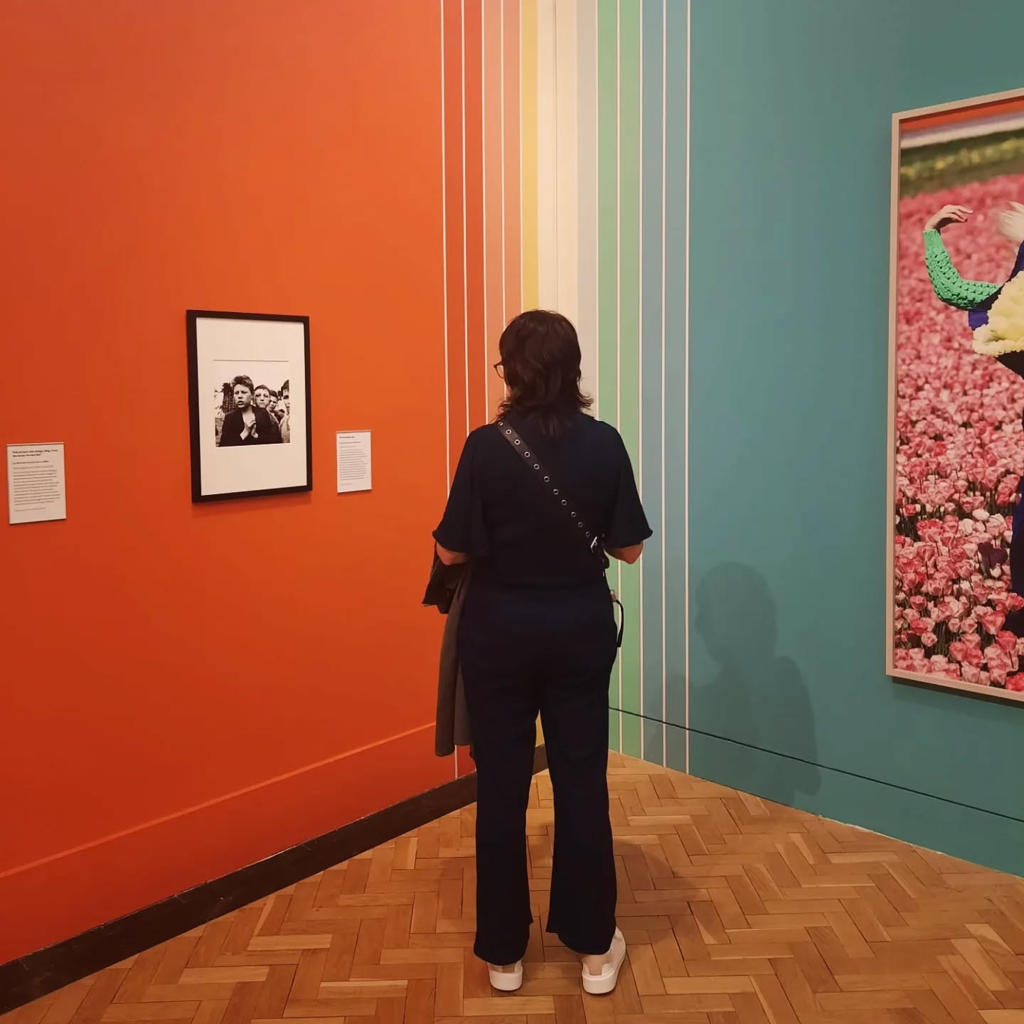 A little colour pop for any January blues 🌈
Celebrating 40 Years of Scotland's Photography Collection is now showing @natgalleriessco
Perfect for a colour boost this dark weather with some stunning pieces from the archive 📸
🩵💚💛🧡❤️🩷
#exhibition #design #colourpop #photography