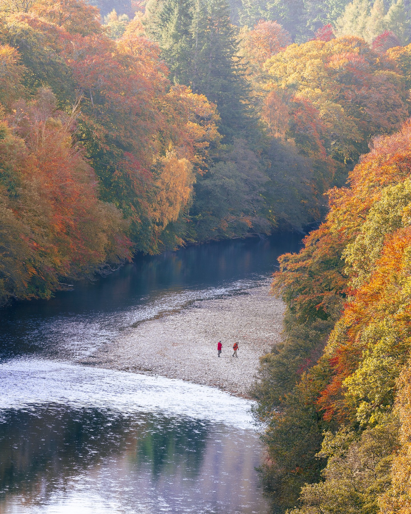 Not your average Sunday walk - this one comes with a masterpiece for a backdrop.
#RiverGarry #ScotlandExplored #SundayWalks #ScenicTrails #NatureLovers #MorningLight #LandscapePhotography #ScotlandViews #WanderScotland #ScenicScotland #VisitScotland #ExploreMore #NatureVibes #WalkingTrails #ScottishHighlands #OutdoorAdventures #AutumnScenery #PeacefulMoments #IntoTheWild #HikingScotland #ForestWalks #NaturalBeauty #PhotographyLover #ScenicShots #TravelScotland #AdventureAwaits #NatureIsArt #HiddenScotland